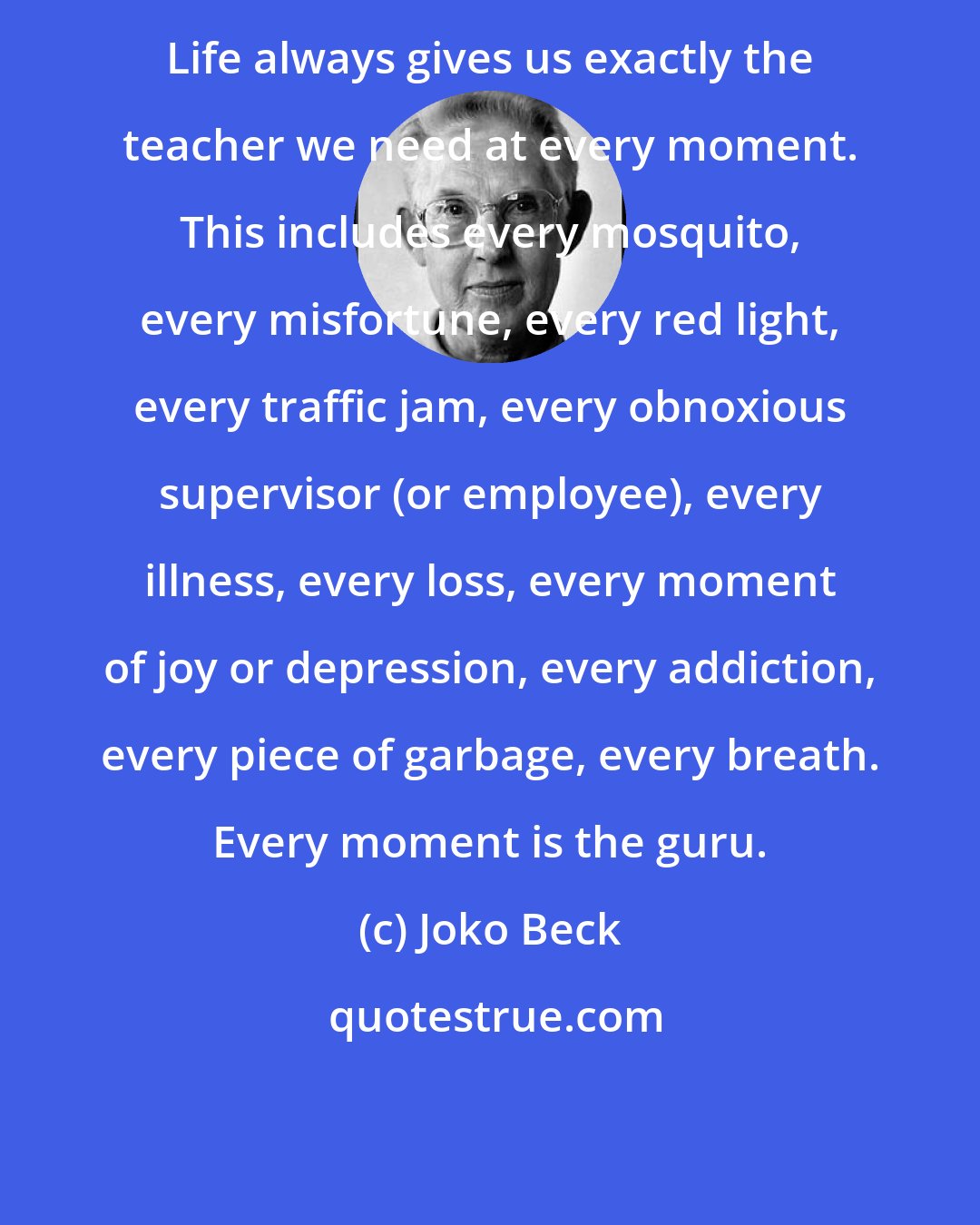 Joko Beck: Life always gives us exactly the teacher we need at every moment. This includes every mosquito, every misfortune, every red light, every traffic jam, every obnoxious supervisor (or employee), every illness, every loss, every moment of joy or depression, every addiction, every piece of garbage, every breath. Every moment is the guru.