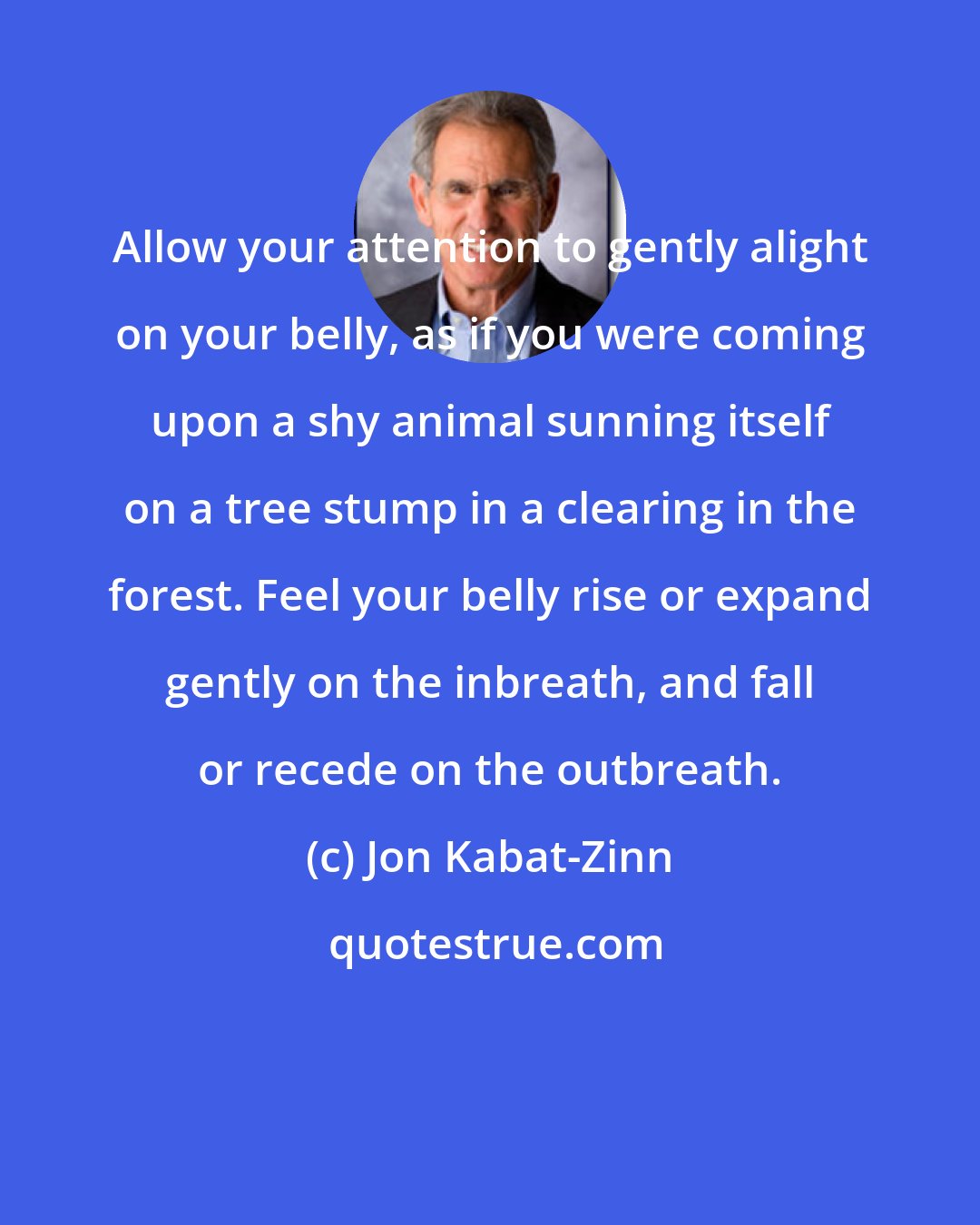 Jon Kabat-Zinn: Allow your attention to gently alight on your belly, as if you were coming upon a shy animal sunning itself on a tree stump in a clearing in the forest. Feel your belly rise or expand gently on the inbreath, and fall or recede on the outbreath.