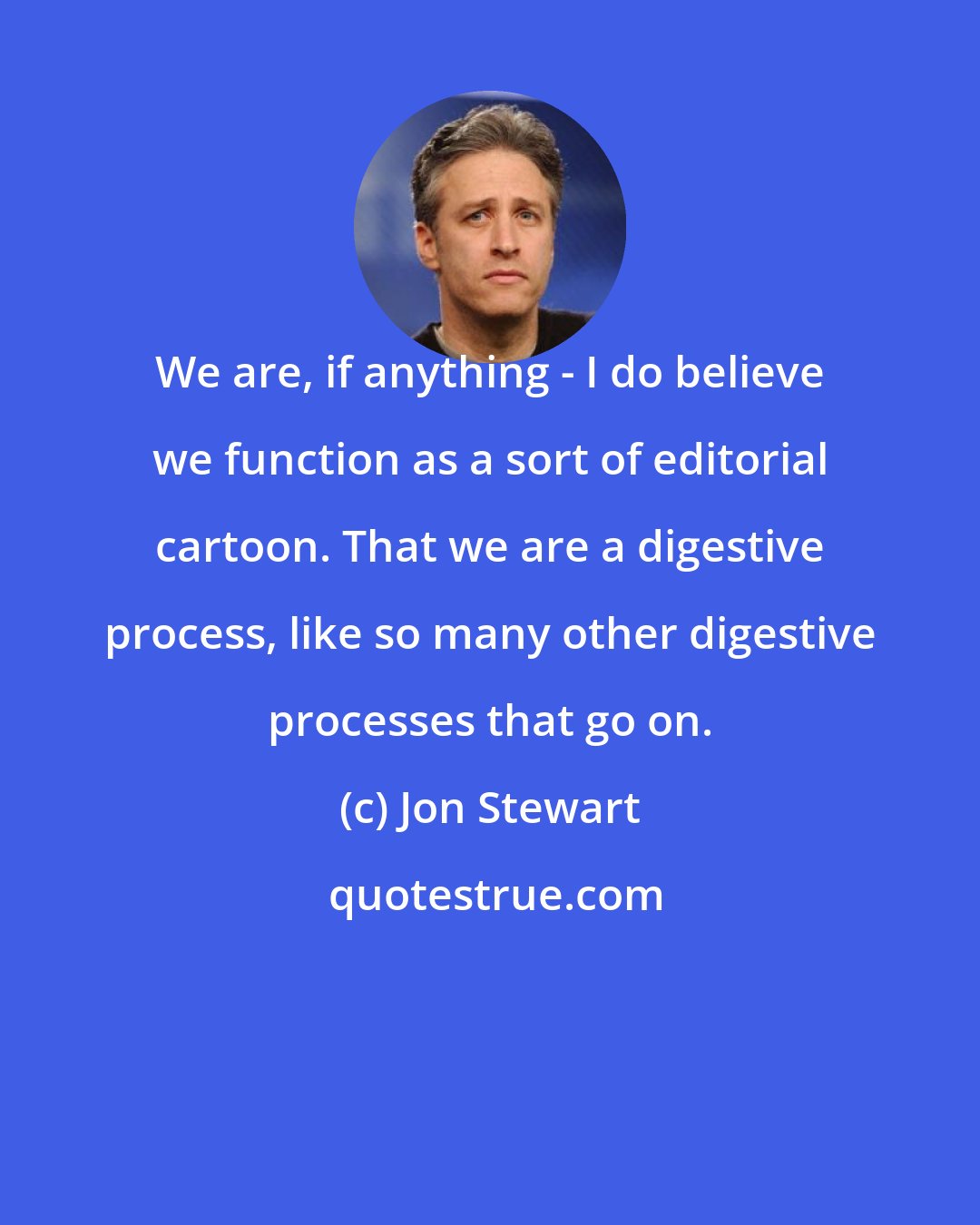 Jon Stewart: We are, if anything - I do believe we function as a sort of editorial cartoon. That we are a digestive process, like so many other digestive processes that go on.