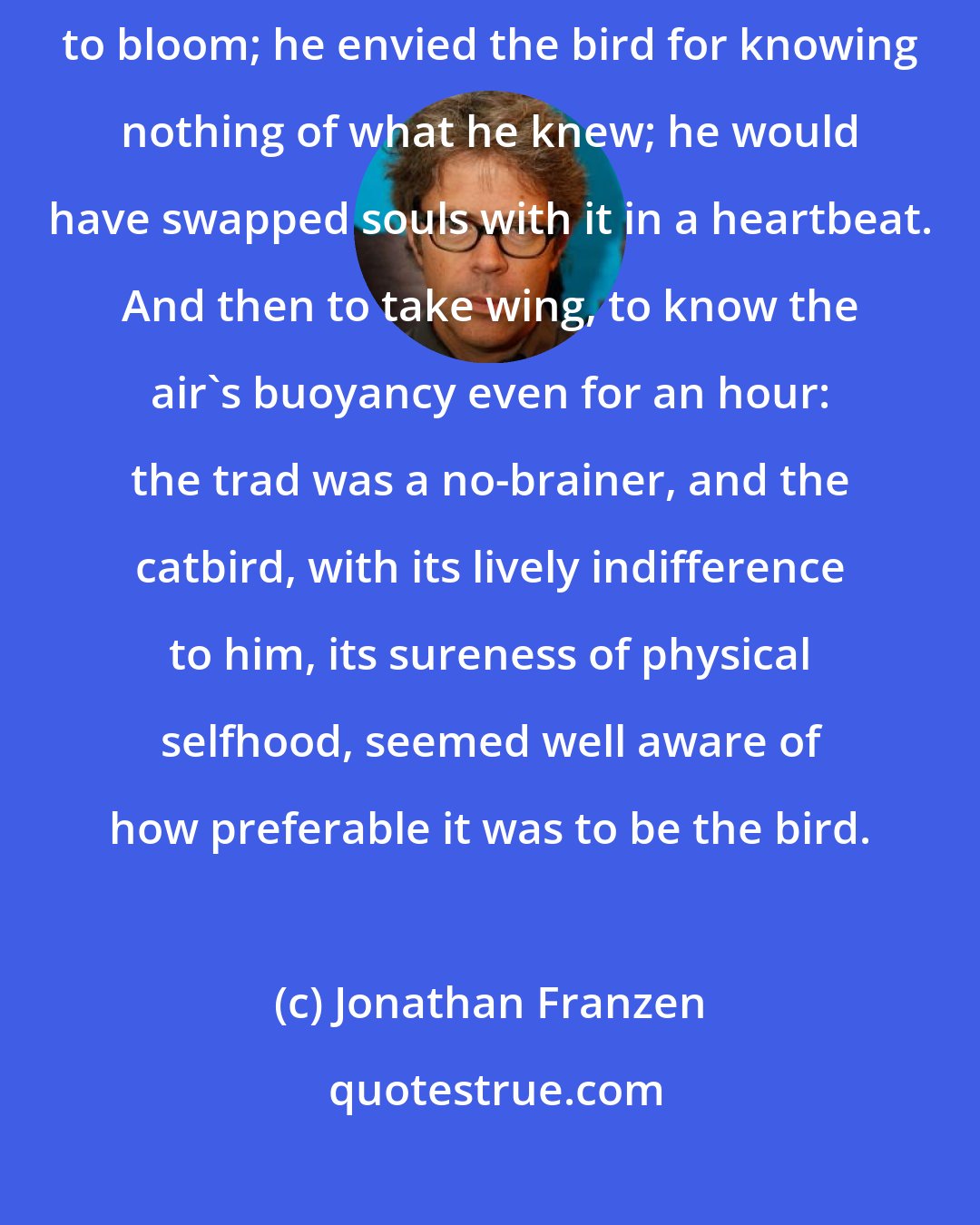 Jonathan Franzen: He watched a catbird hopping around in an azalea that was readying itself to bloom; he envied the bird for knowing nothing of what he knew; he would have swapped souls with it in a heartbeat. And then to take wing, to know the air's buoyancy even for an hour: the trad was a no-brainer, and the catbird, with its lively indifference to him, its sureness of physical selfhood, seemed well aware of how preferable it was to be the bird.