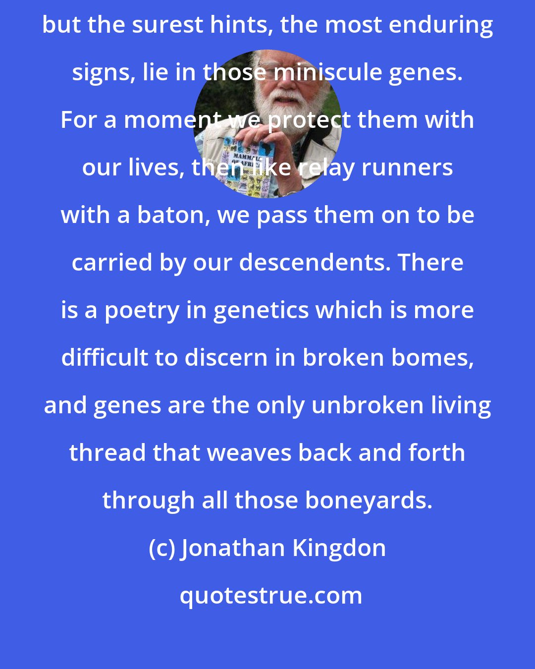 Jonathan Kingdon: Fossil bones and footsteps and ruined homes are the solid facts of history, but the surest hints, the most enduring signs, lie in those miniscule genes. For a moment we protect them with our lives, then like relay runners with a baton, we pass them on to be carried by our descendents. There is a poetry in genetics which is more difficult to discern in broken bomes, and genes are the only unbroken living thread that weaves back and forth through all those boneyards.
