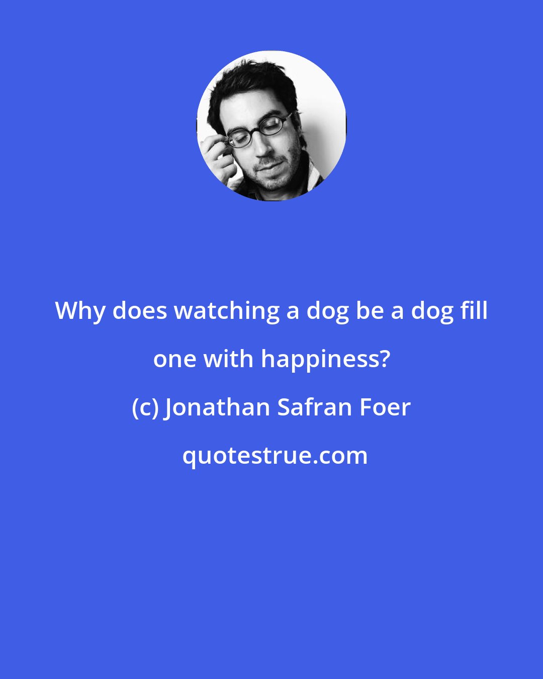 Jonathan Safran Foer: Why does watching a dog be a dog fill one with happiness?