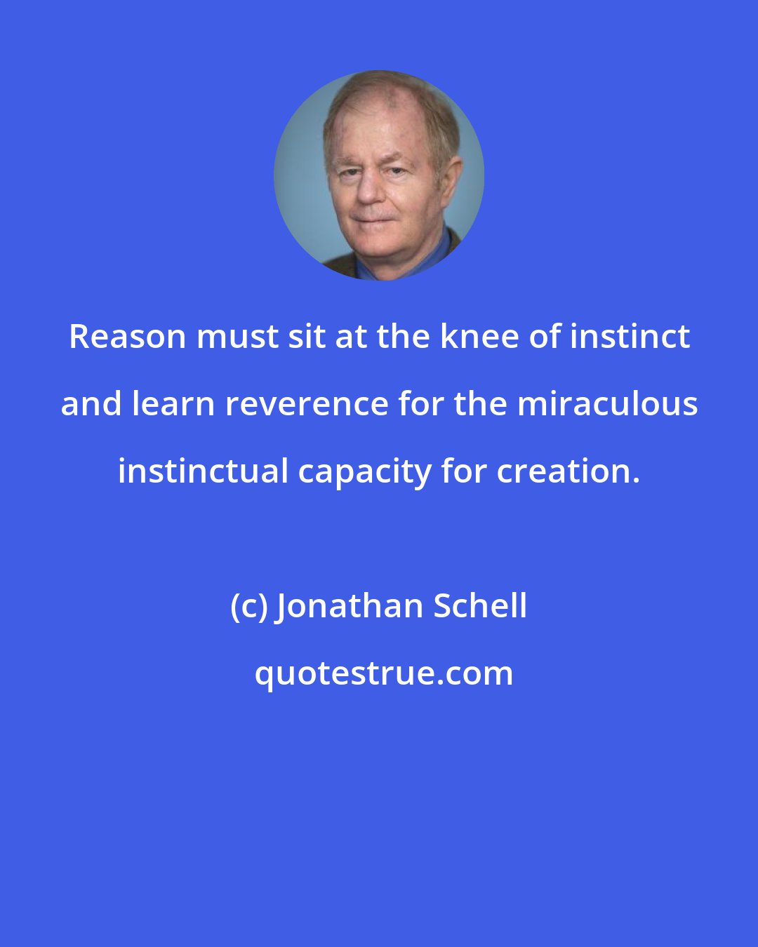 Jonathan Schell: Reason must sit at the knee of instinct and learn reverence for the miraculous instinctual capacity for creation.