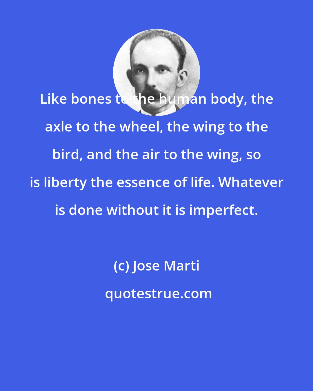 Jose Marti: Like bones to the human body, the axle to the wheel, the wing to the bird, and the air to the wing, so is liberty the essence of life. Whatever is done without it is imperfect.