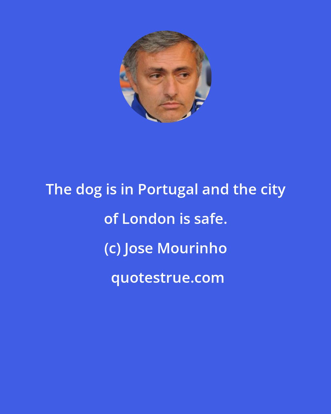 Jose Mourinho: The dog is in Portugal and the city of London is safe.