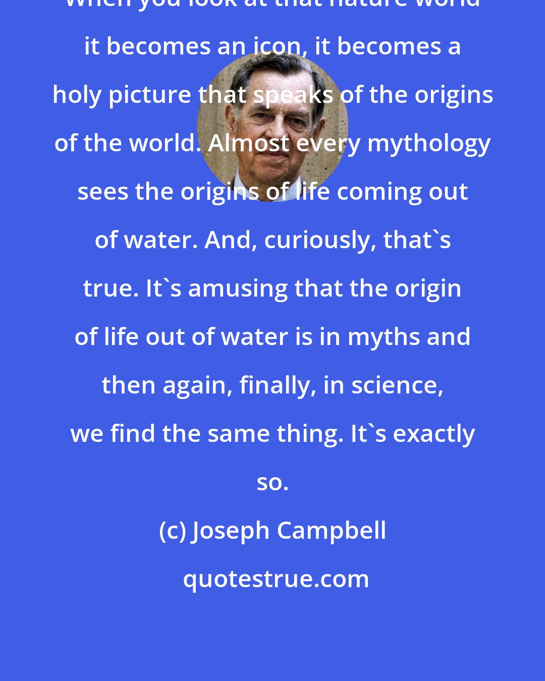 Joseph Campbell: When you look at that nature world it becomes an icon, it becomes a holy picture that speaks of the origins of the world. Almost every mythology sees the origins of life coming out of water. And, curiously, that's true. It's amusing that the origin of life out of water is in myths and then again, finally, in science, we find the same thing. It's exactly so.