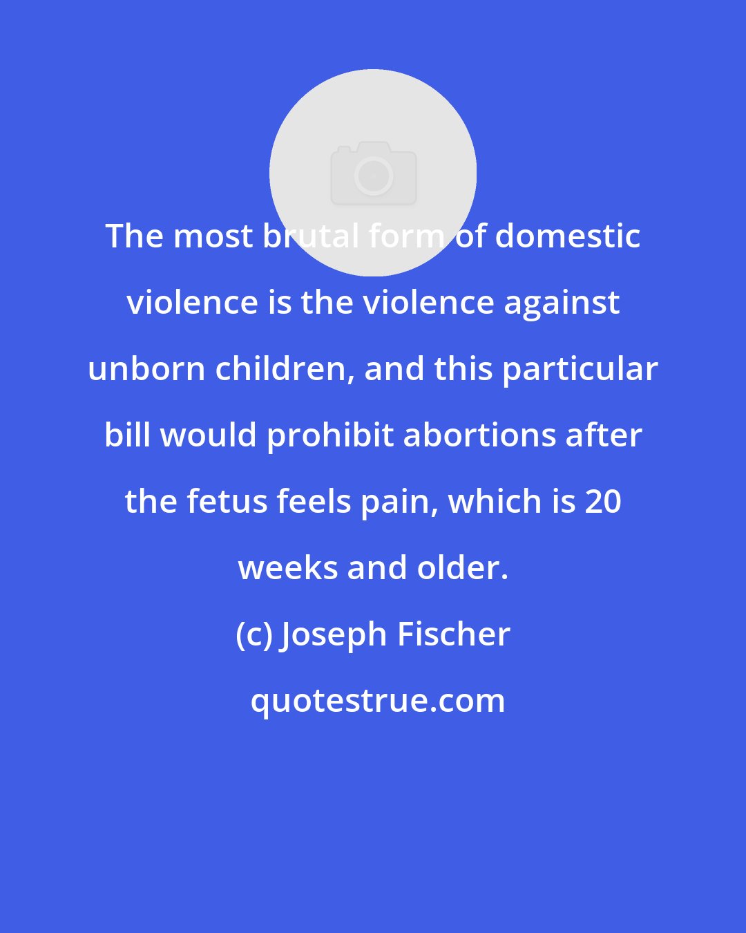 Joseph Fischer: The most brutal form of domestic violence is the violence against unborn children, and this particular bill would prohibit abortions after the fetus feels pain, which is 20 weeks and older.