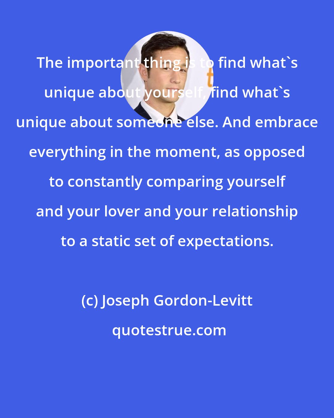 Joseph Gordon-Levitt: The important thing is to find what's unique about yourself, find what's unique about someone else. And embrace everything in the moment, as opposed to constantly comparing yourself and your lover and your relationship to a static set of expectations.