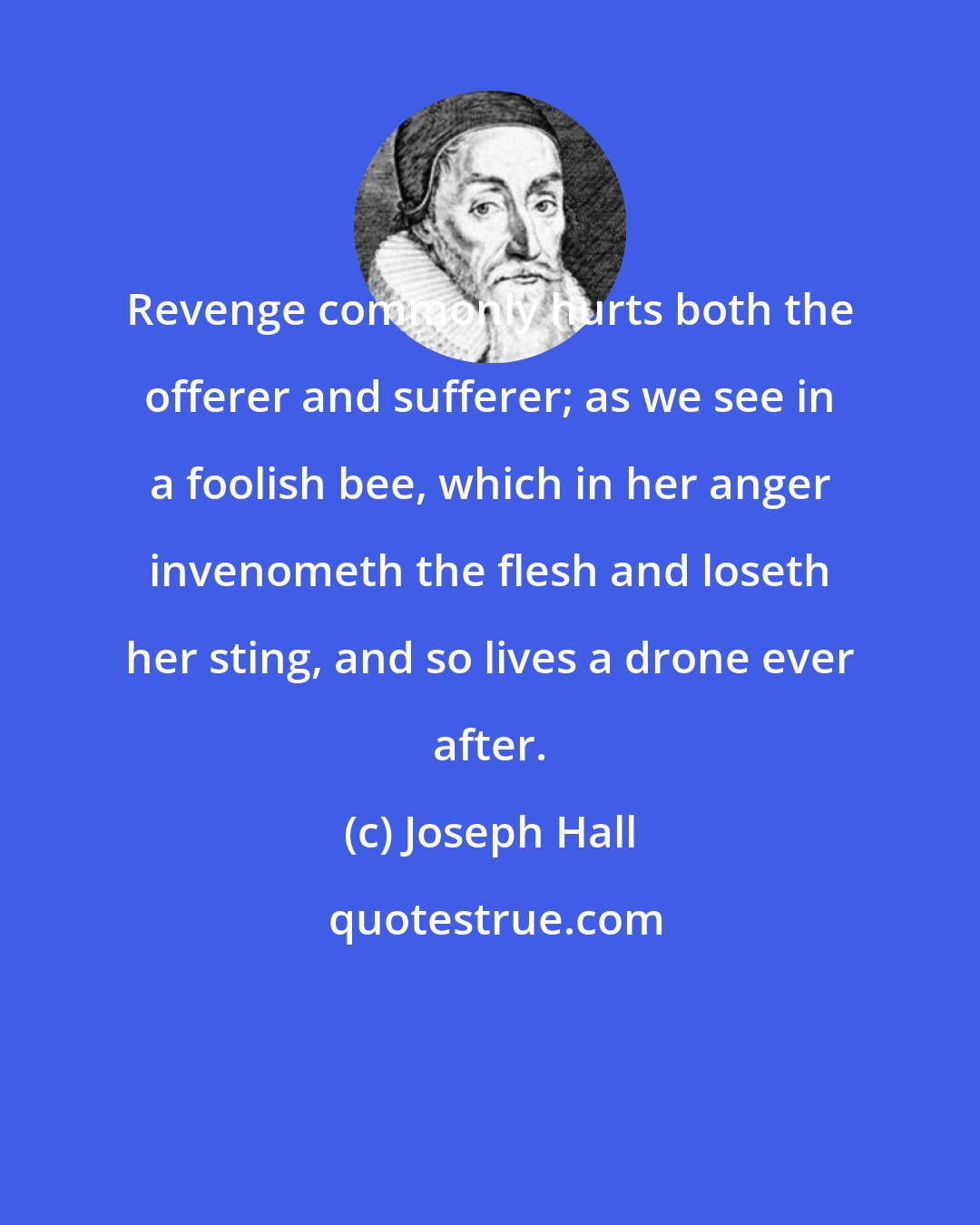 Joseph Hall: Revenge commonly hurts both the offerer and sufferer; as we see in a foolish bee, which in her anger invenometh the flesh and loseth her sting, and so lives a drone ever after.