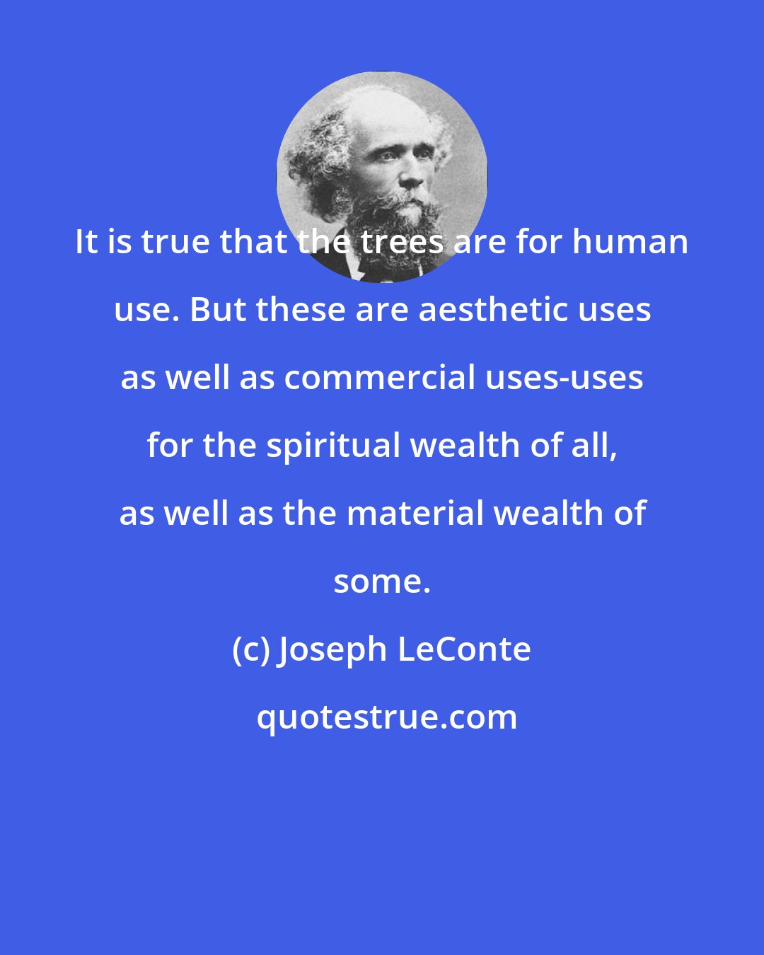Joseph LeConte: It is true that the trees are for human use. But these are aesthetic uses as well as commercial uses-uses for the spiritual wealth of all, as well as the material wealth of some.