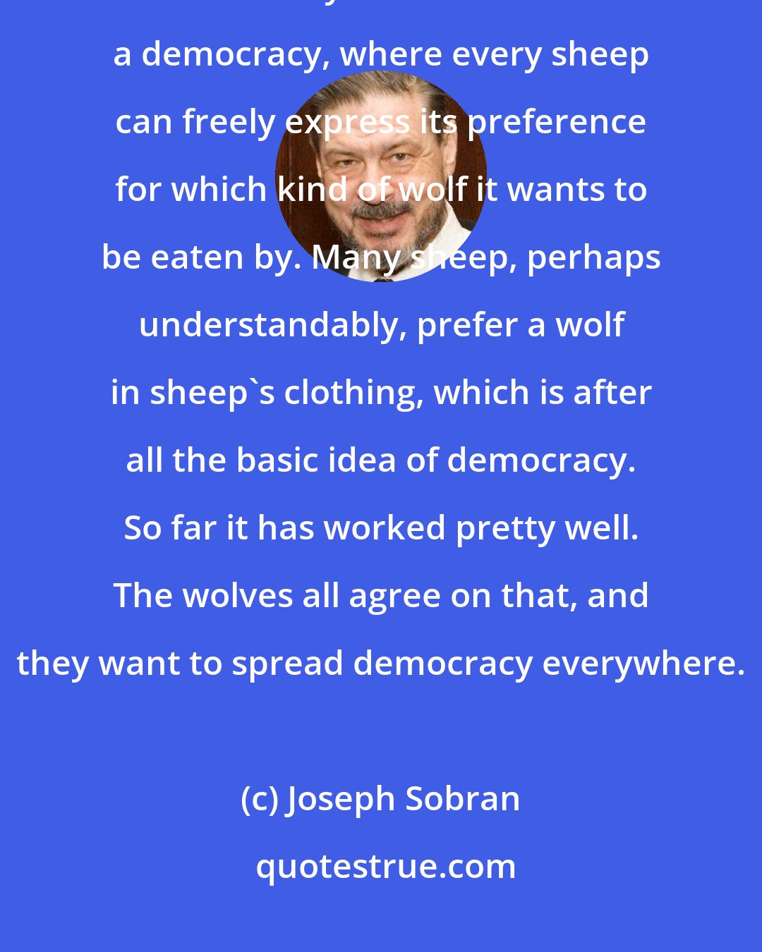 Joseph Sobran: So when the wolf pounces on your lamb, just ignore the pitiful bleating and remind yourself that this is a democracy, where every sheep can freely express its preference for which kind of wolf it wants to be eaten by. Many sheep, perhaps understandably, prefer a wolf in sheep's clothing, which is after all the basic idea of democracy. So far it has worked pretty well. The wolves all agree on that, and they want to spread democracy everywhere.