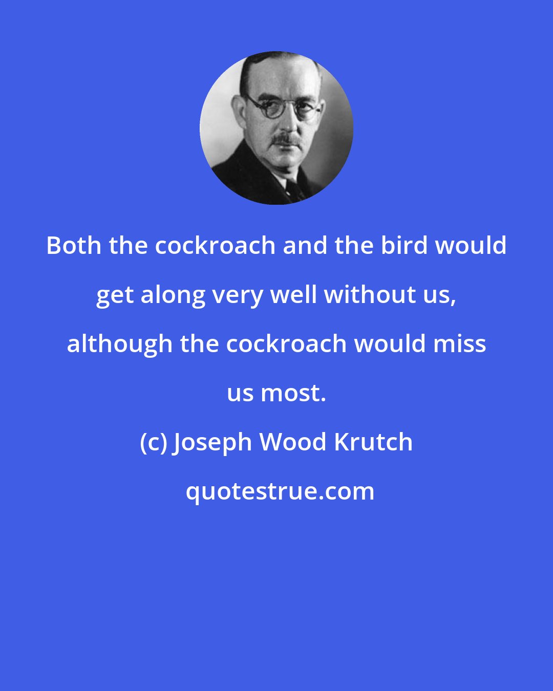 Joseph Wood Krutch: Both the cockroach and the bird would get along very well without us, although the cockroach would miss us most.
