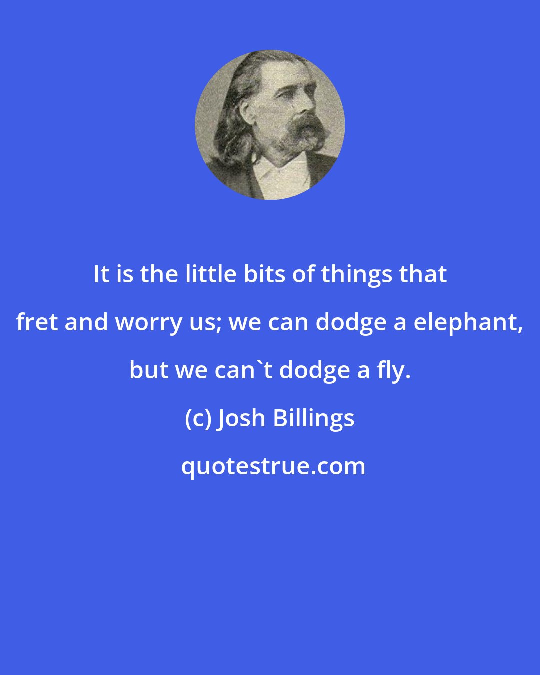 Josh Billings: It is the little bits of things that fret and worry us; we can dodge a elephant, but we can't dodge a fly.