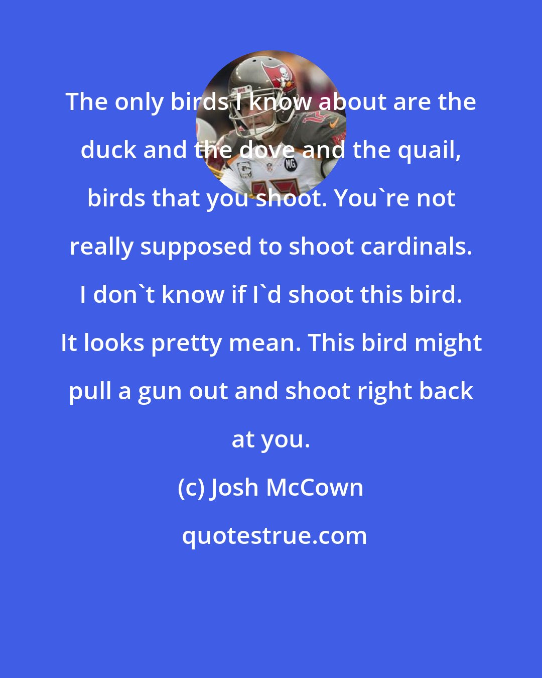Josh McCown: The only birds I know about are the duck and the dove and the quail, birds that you shoot. You're not really supposed to shoot cardinals. I don't know if I'd shoot this bird. It looks pretty mean. This bird might pull a gun out and shoot right back at you.