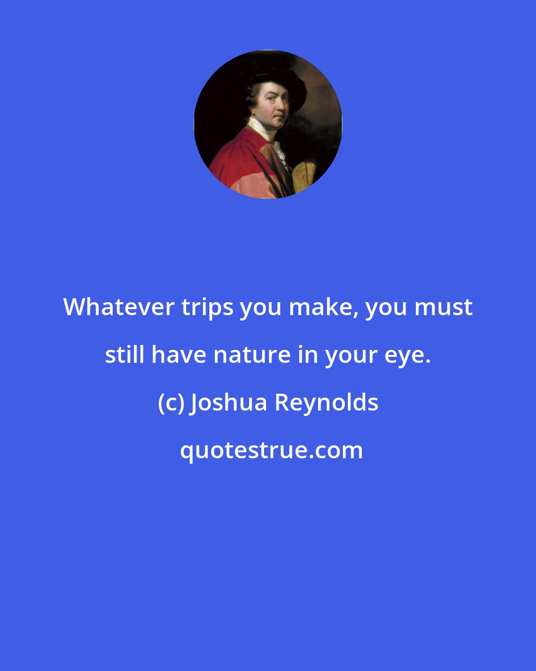 Joshua Reynolds: Whatever trips you make, you must still have nature in your eye.