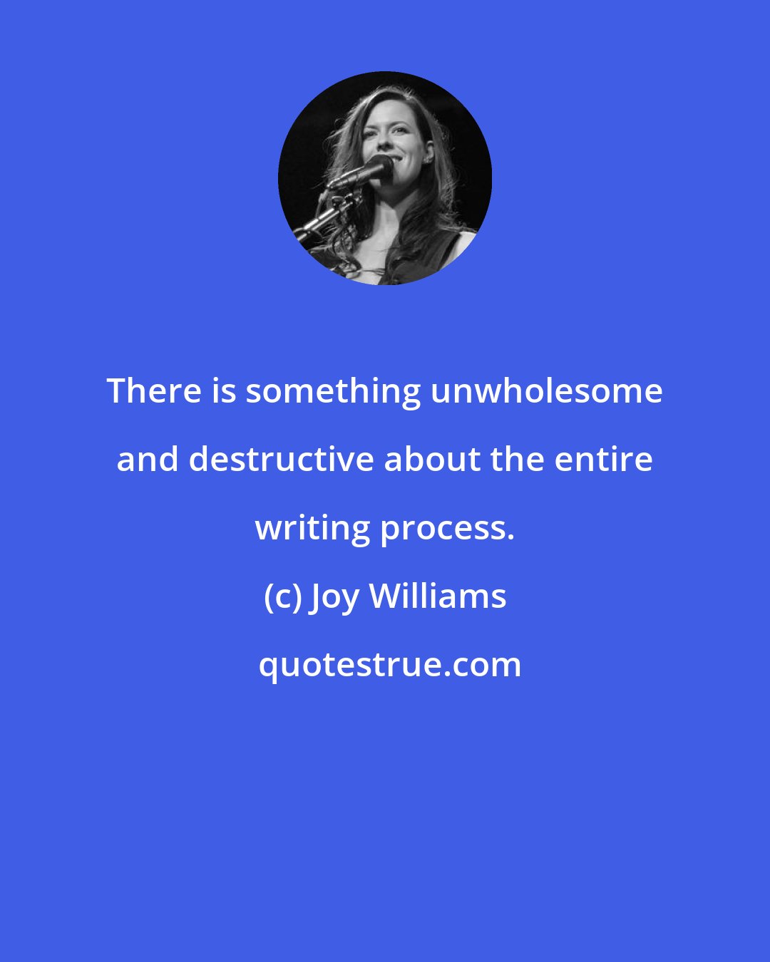 Joy Williams: There is something unwholesome and destructive about the entire writing process.