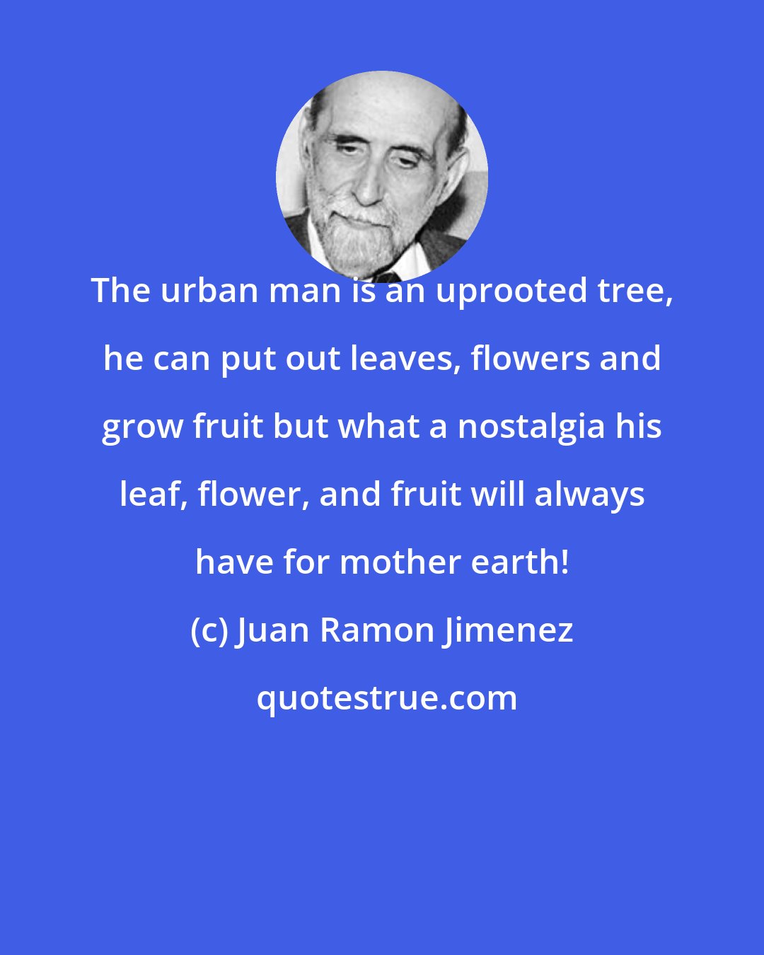 Juan Ramon Jimenez: The urban man is an uprooted tree, he can put out leaves, flowers and grow fruit but what a nostalgia his leaf, flower, and fruit will always have for mother earth!