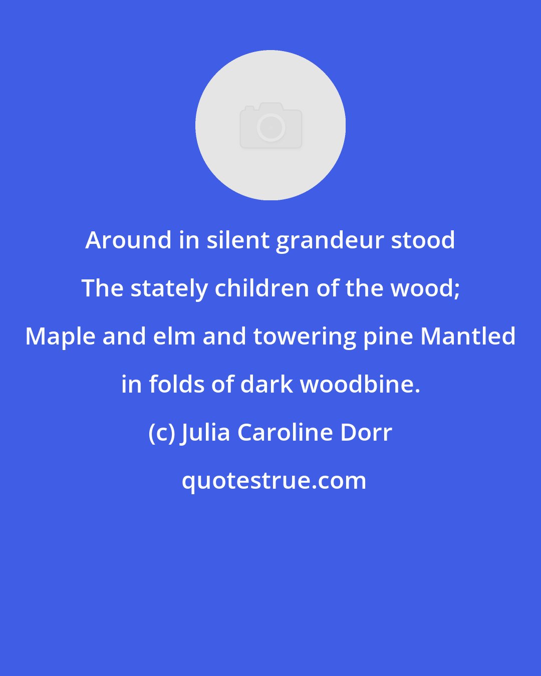 Julia Caroline Dorr: Around in silent grandeur stood The stately children of the wood; Maple and elm and towering pine Mantled in folds of dark woodbine.