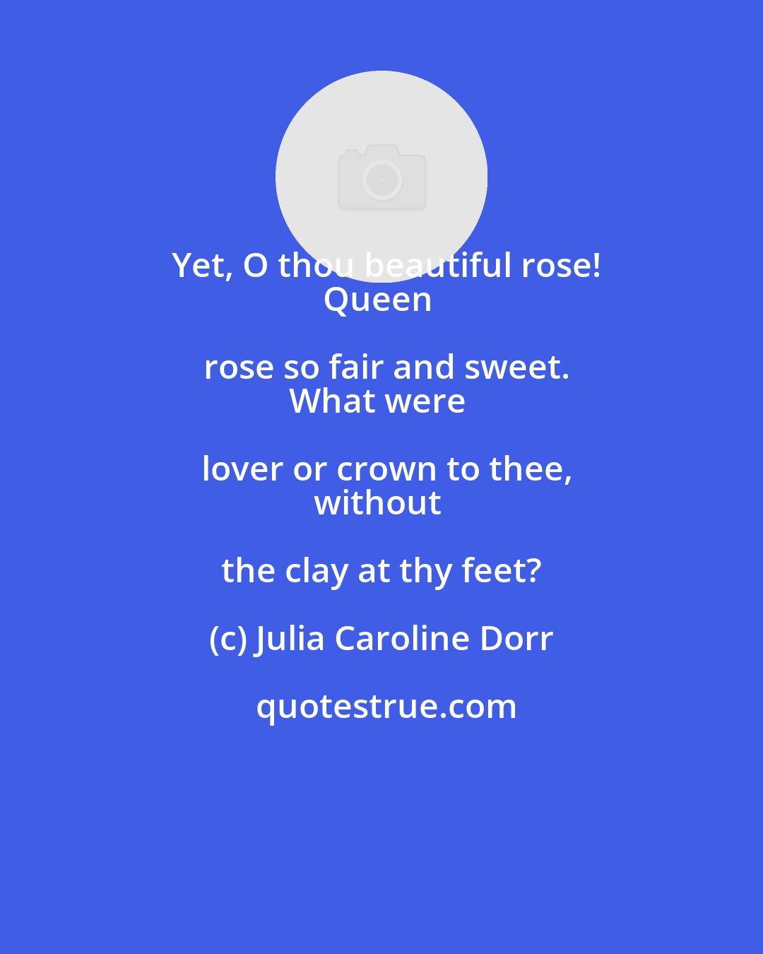 Julia Caroline Dorr: Yet, O thou beautiful rose!
Queen rose so fair and sweet.
What were lover or crown to thee,
without the clay at thy feet?