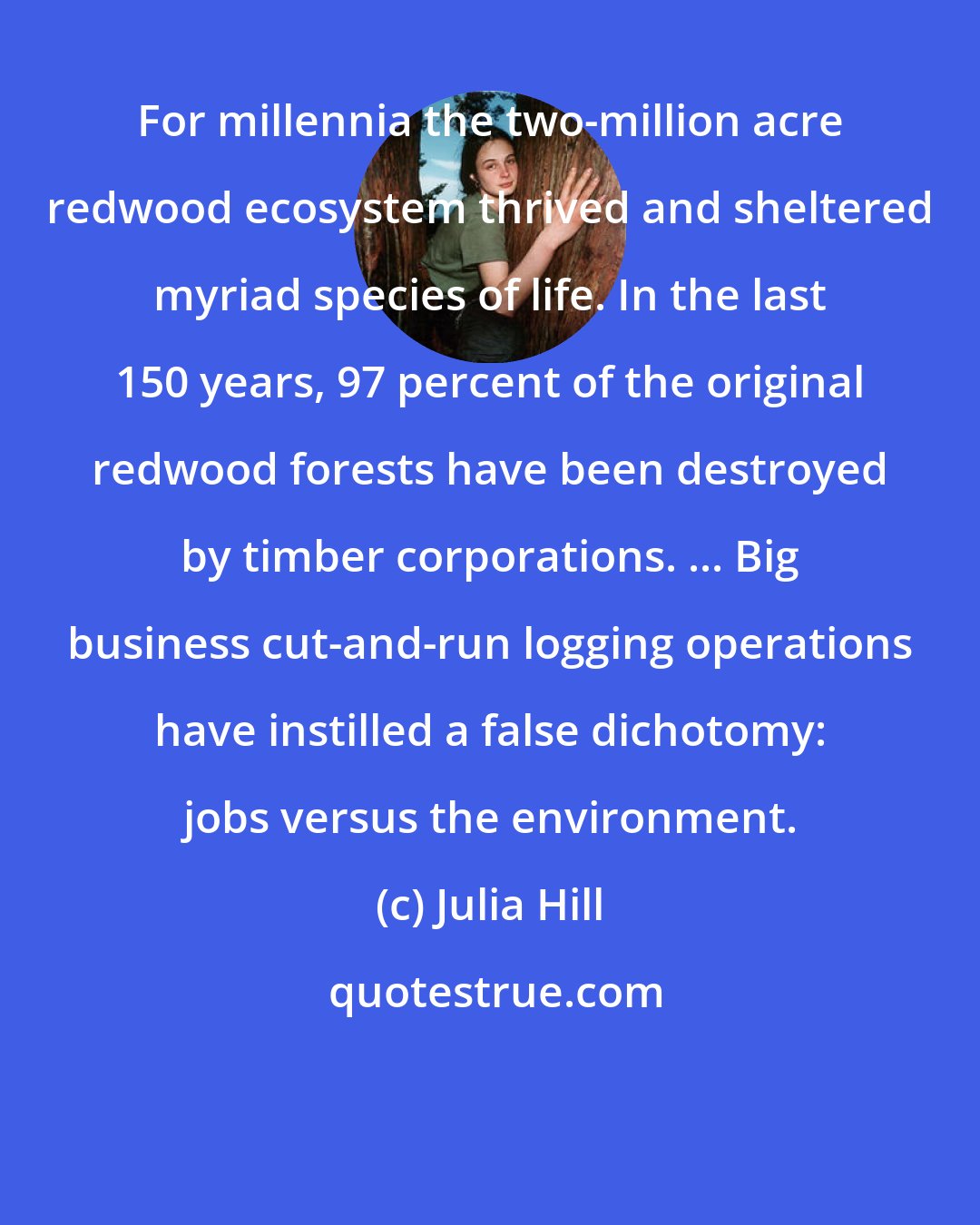 Julia Hill: For millennia the two-million acre redwood ecosystem thrived and sheltered myriad species of life. In the last 150 years, 97 percent of the original redwood forests have been destroyed by timber corporations. ... Big business cut-and-run logging operations have instilled a false dichotomy: jobs versus the environment.