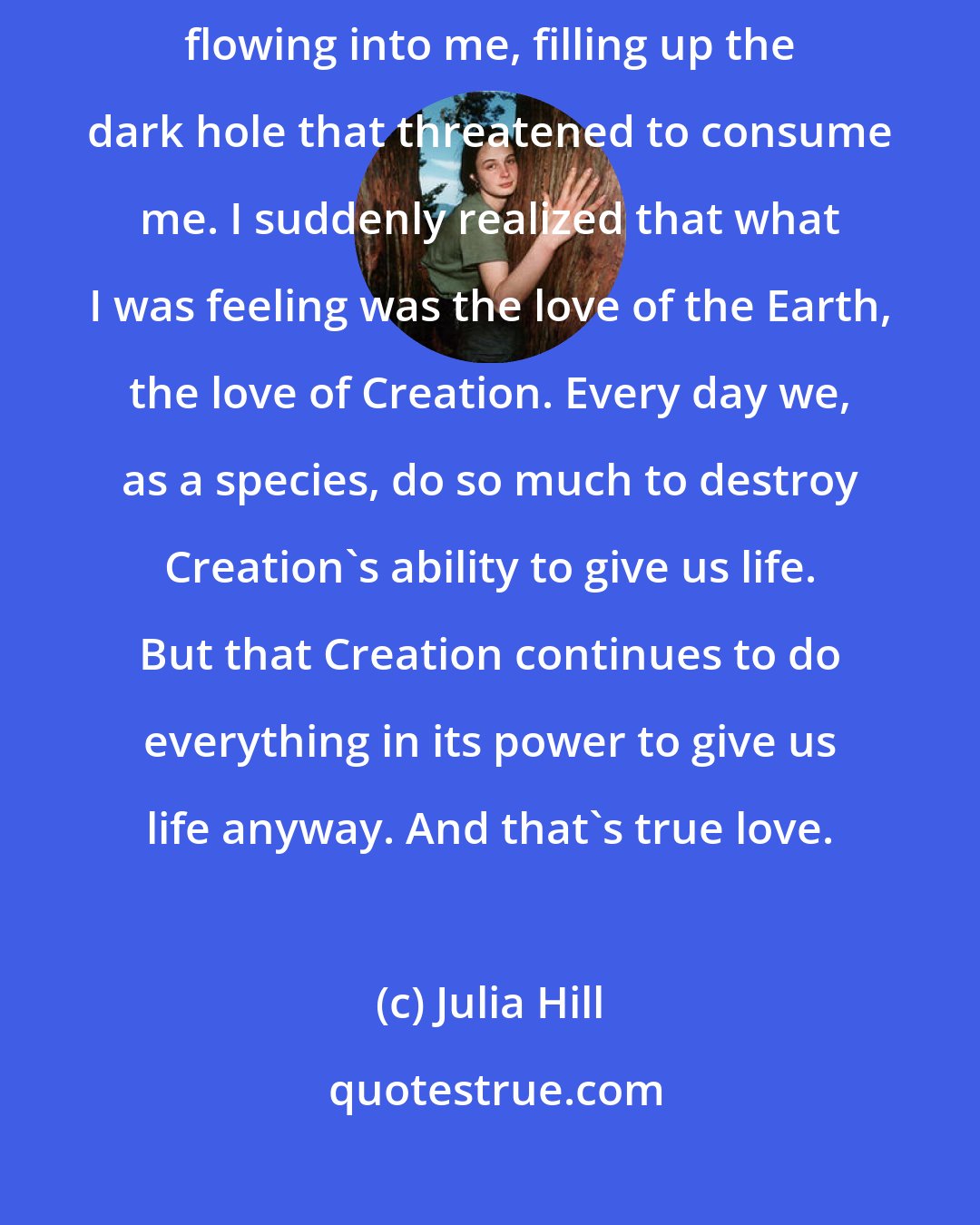 Julia Hill: One day, through my prayers, an overwhelming amount of love started flowing into me, filling up the dark hole that threatened to consume me. I suddenly realized that what I was feeling was the love of the Earth, the love of Creation. Every day we, as a species, do so much to destroy Creation's ability to give us life. But that Creation continues to do everything in its power to give us life anyway. And that's true love.