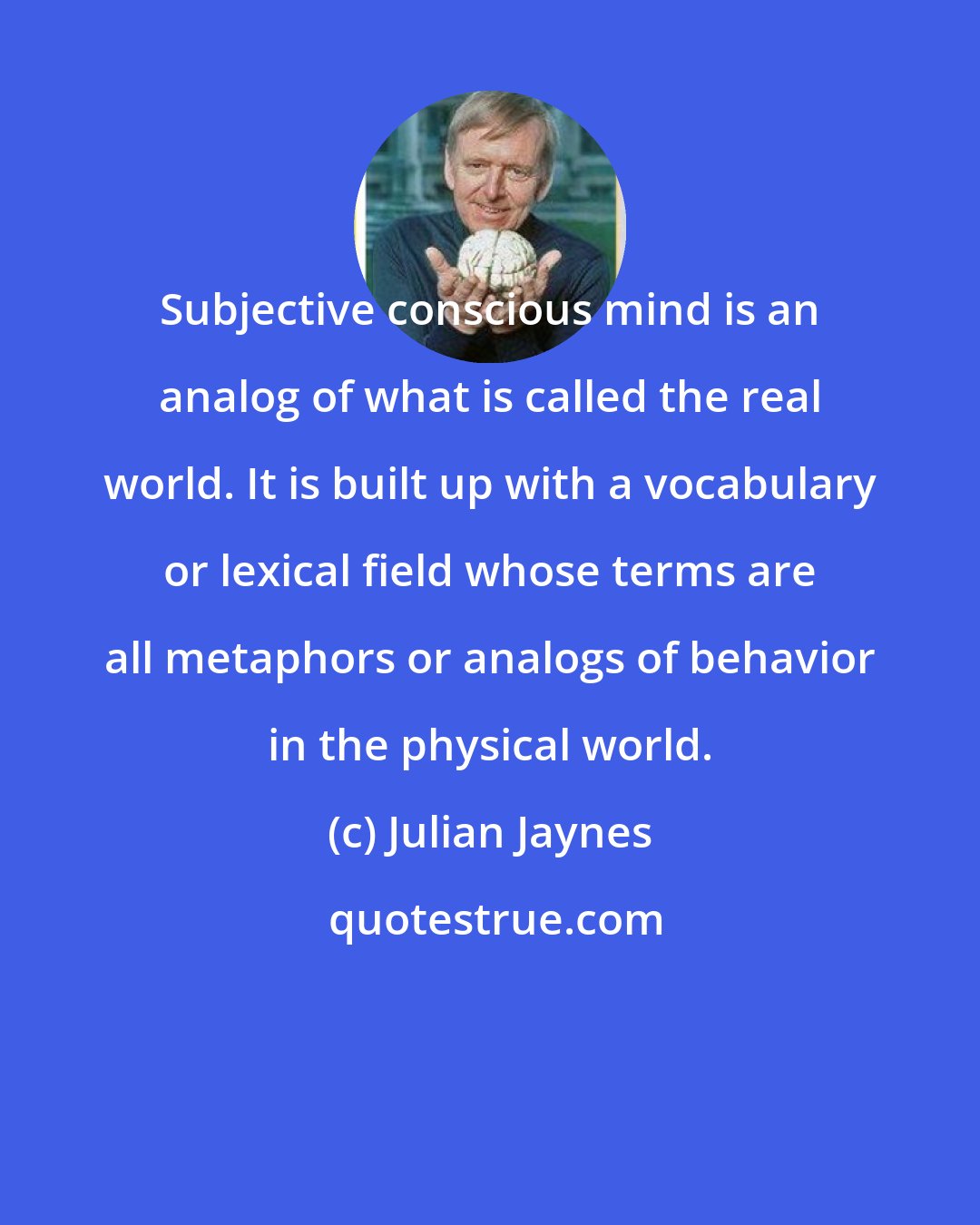 Julian Jaynes: Subjective conscious mind is an analog of what is called the real world. It is built up with a vocabulary or lexical field whose terms are all metaphors or analogs of behavior in the physical world.