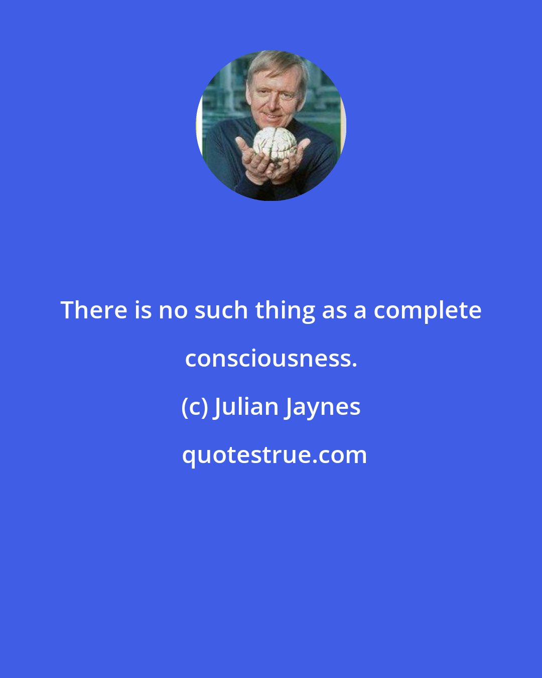 Julian Jaynes: There is no such thing as a complete consciousness.