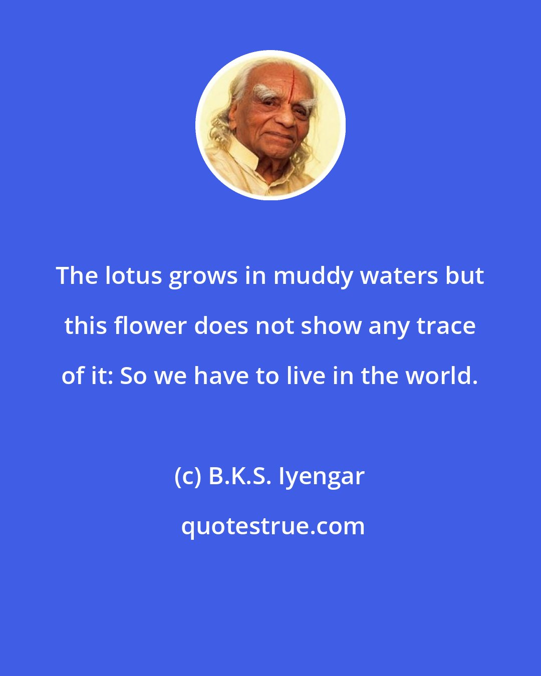 B.K.S. Iyengar: The lotus grows in muddy waters but this flower does not show any trace of it: So we have to live in the world.