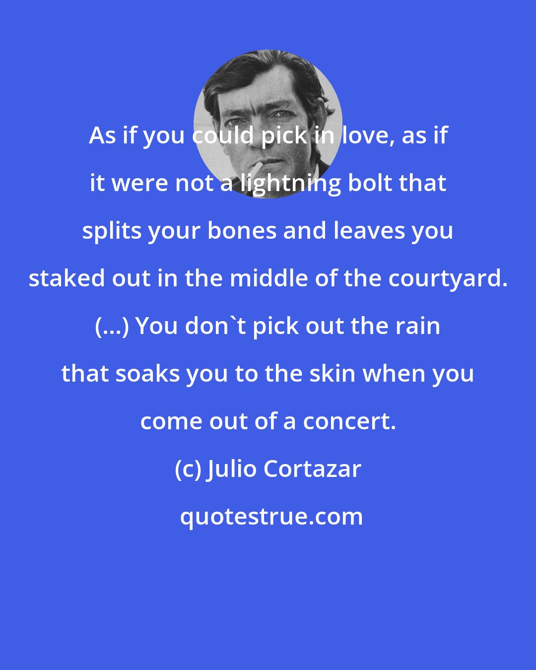 Julio Cortazar: As if you could pick in love, as if it were not a lightning bolt that splits your bones and leaves you staked out in the middle of the courtyard. (...) You don't pick out the rain that soaks you to the skin when you come out of a concert.