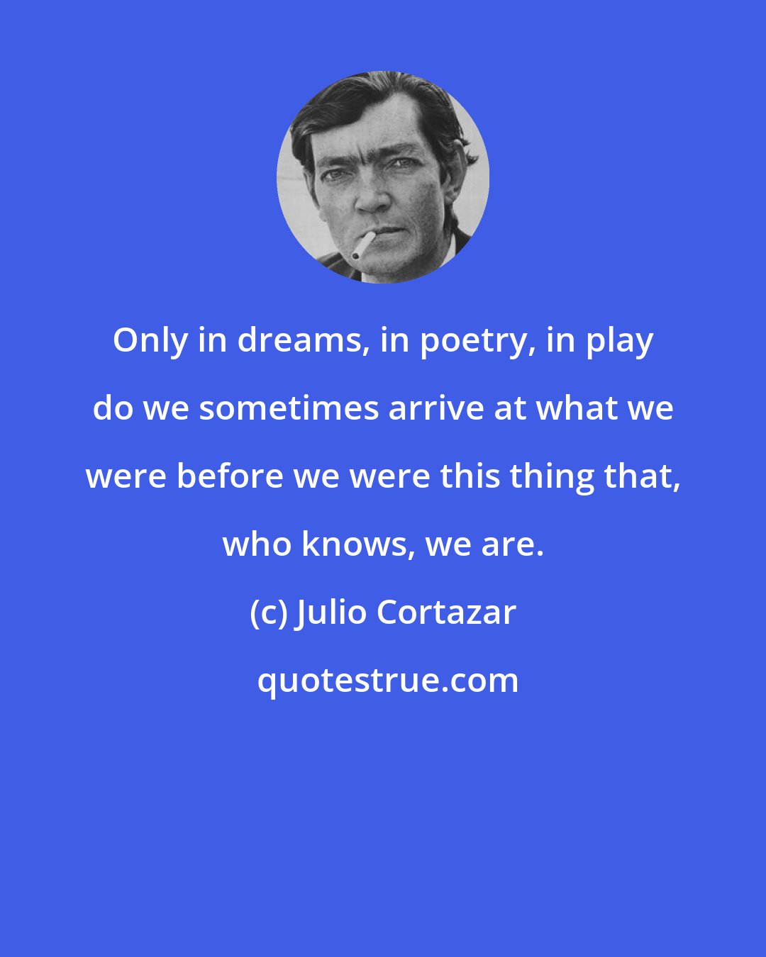 Julio Cortazar: Only in dreams, in poetry, in play do we sometimes arrive at what we were before we were this thing that, who knows, we are.