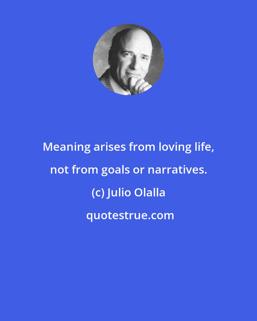 Julio Olalla: Meaning arises from loving life, not from goals or narratives.
