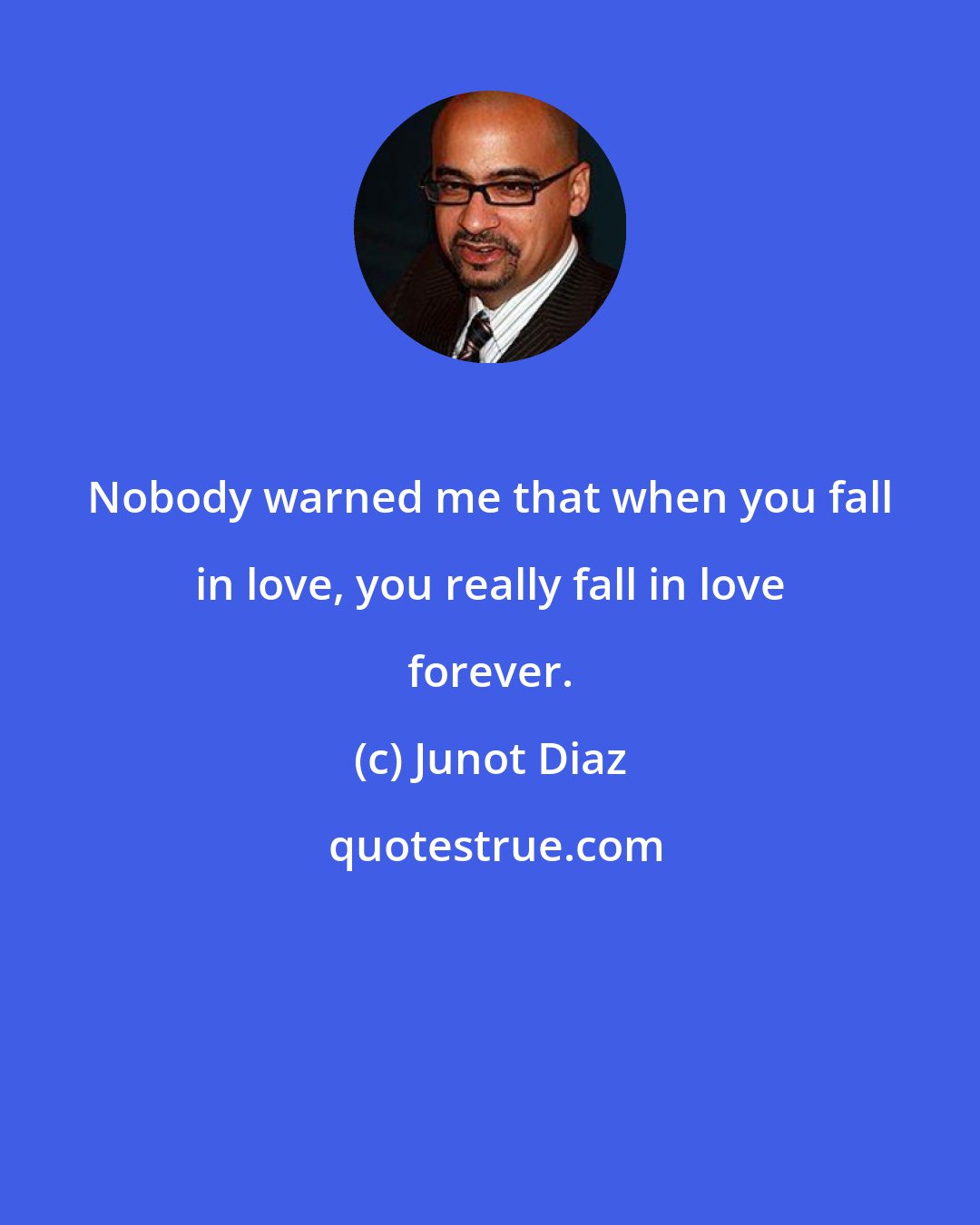 Junot Diaz: Nobody warned me that when you fall in love, you really fall in love forever.