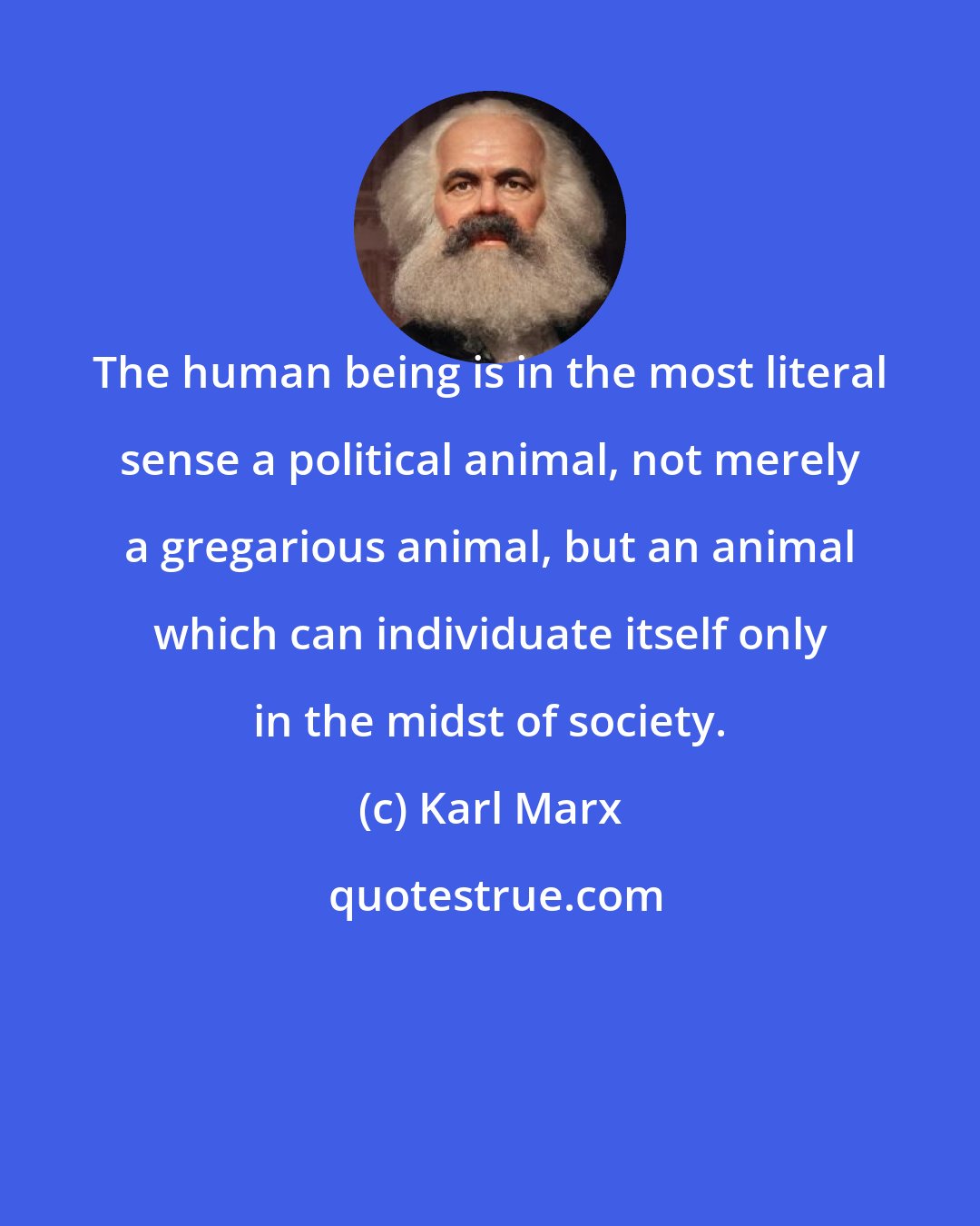 Karl Marx: The human being is in the most literal sense a political animal, not merely a gregarious animal, but an animal which can individuate itself only in the midst of society.