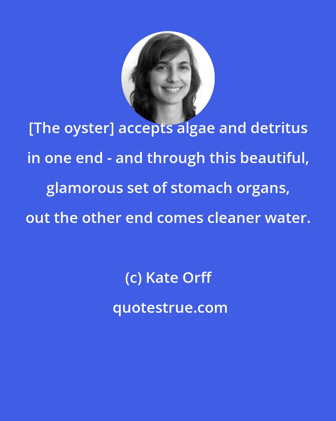 Kate Orff: [The oyster] accepts algae and detritus in one end - and through this beautiful, glamorous set of stomach organs, out the other end comes cleaner water.
