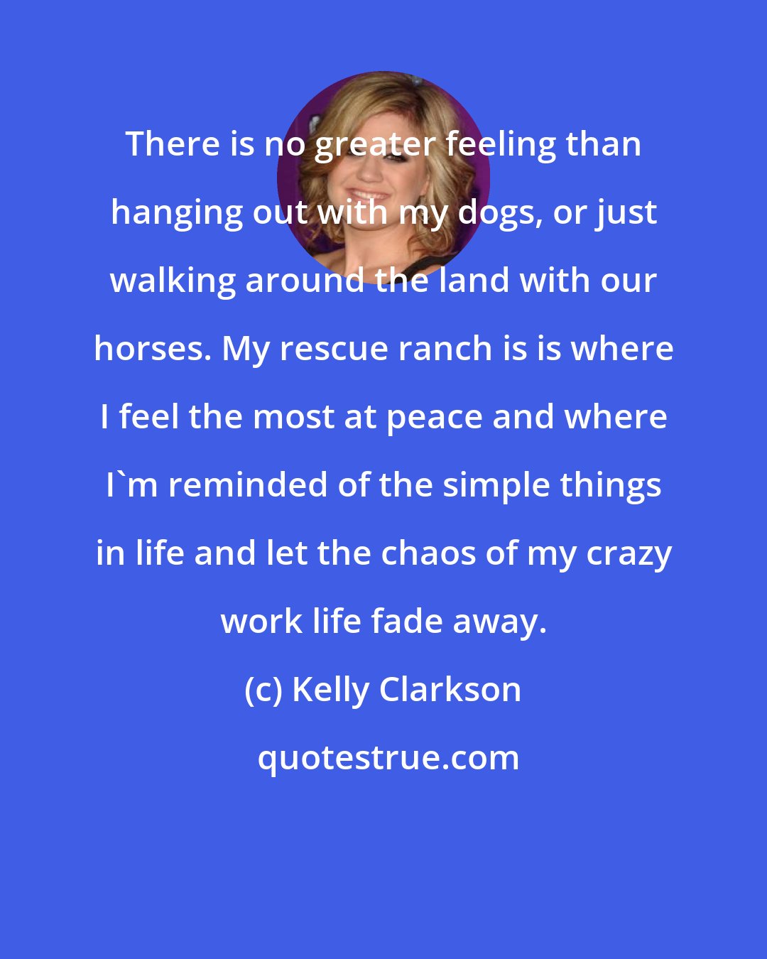 Kelly Clarkson: There is no greater feeling than hanging out with my dogs, or just walking around the land with our horses. My rescue ranch is is where I feel the most at peace and where I'm reminded of the simple things in life and let the chaos of my crazy work life fade away.