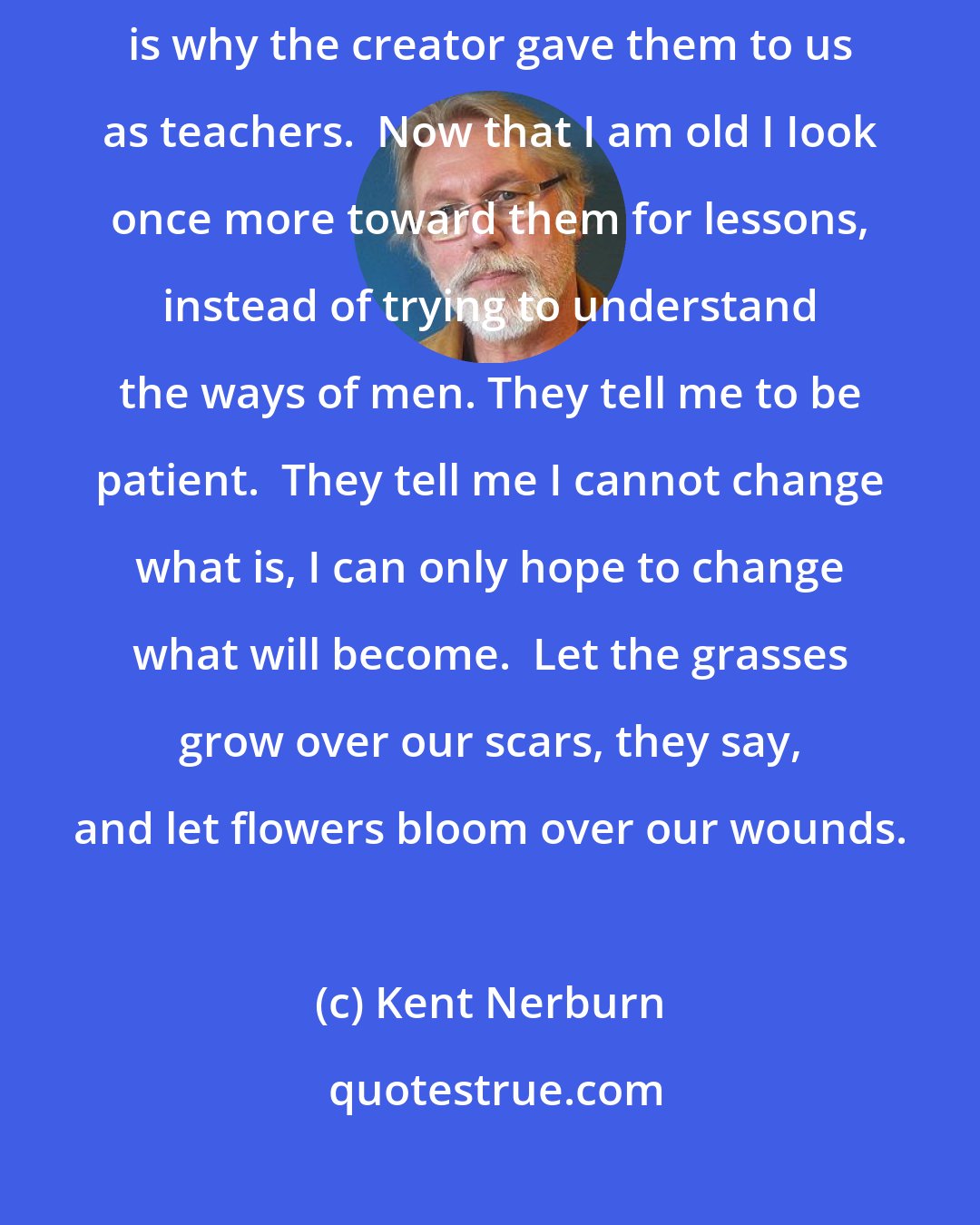 Kent Nerburn: It is not easy for a man to be as great as a mountain or a forest.  But that is why the creator gave them to us as teachers.  Now that I am old I Iook once more toward them for lessons, instead of trying to understand the ways of men. They tell me to be patient.  They tell me I cannot change what is, I can only hope to change what will become.  Let the grasses grow over our scars, they say, and let flowers bloom over our wounds.