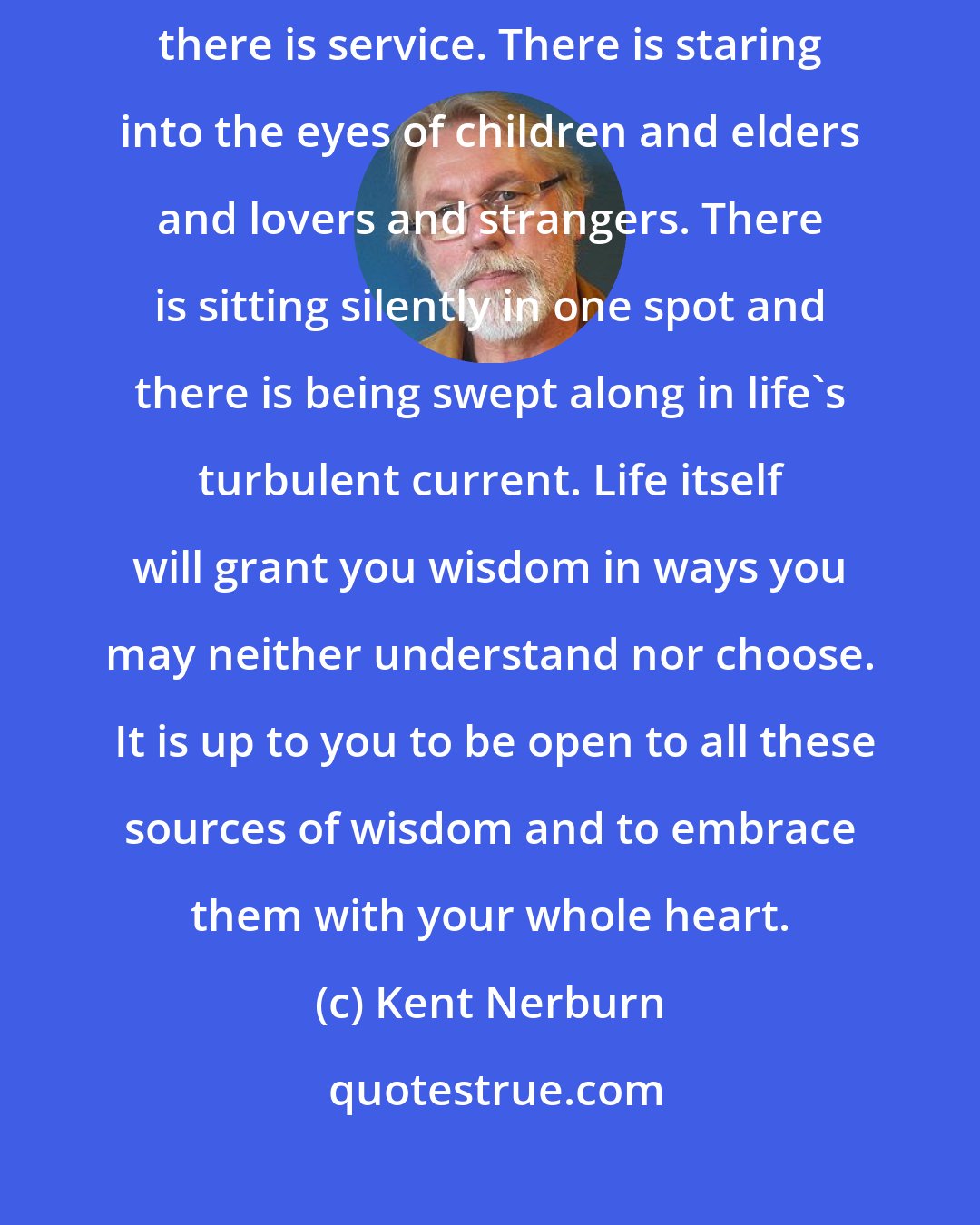 Kent Nerburn: There are many ways to seek wisdom. There is travel, there are masters, there is service. There is staring into the eyes of children and elders and lovers and strangers. There is sitting silently in one spot and there is being swept along in life's turbulent current. Life itself will grant you wisdom in ways you may neither understand nor choose.  It is up to you to be open to all these sources of wisdom and to embrace them with your whole heart.