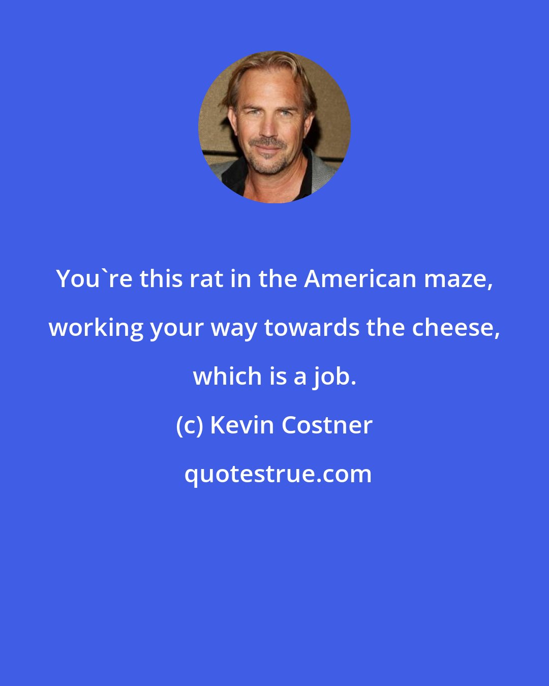 Kevin Costner: You're this rat in the American maze, working your way towards the cheese, which is a job.