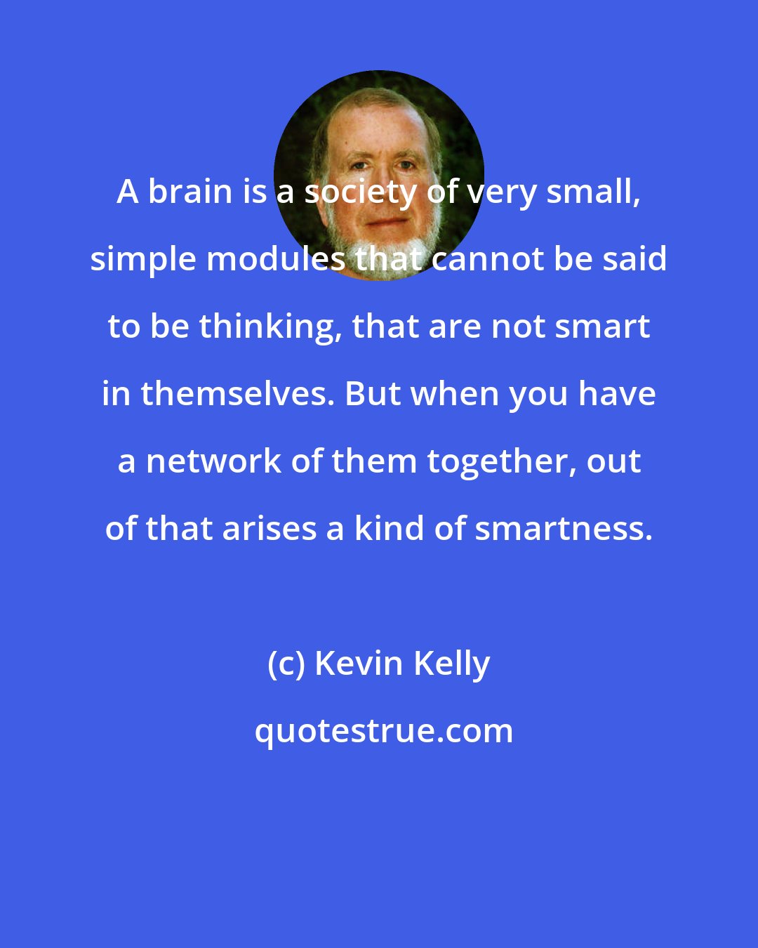 Kevin Kelly: A brain is a society of very small, simple modules that cannot be said to be thinking, that are not smart in themselves. But when you have a network of them together, out of that arises a kind of smartness.