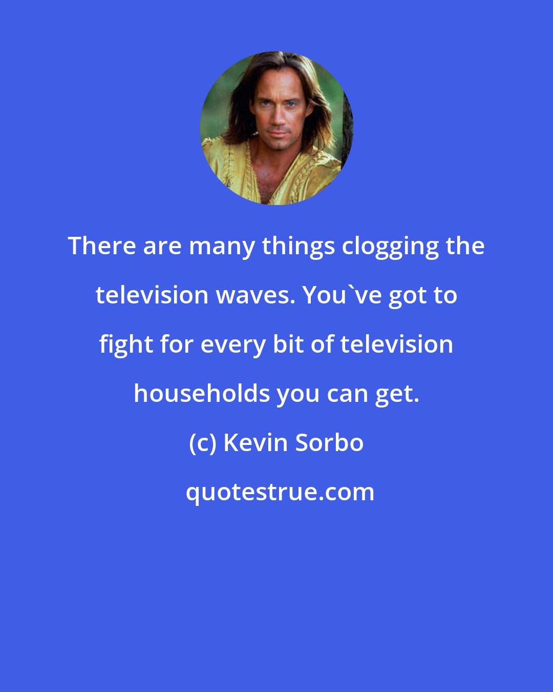 Kevin Sorbo: There are many things clogging the television waves. You've got to fight for every bit of television households you can get.