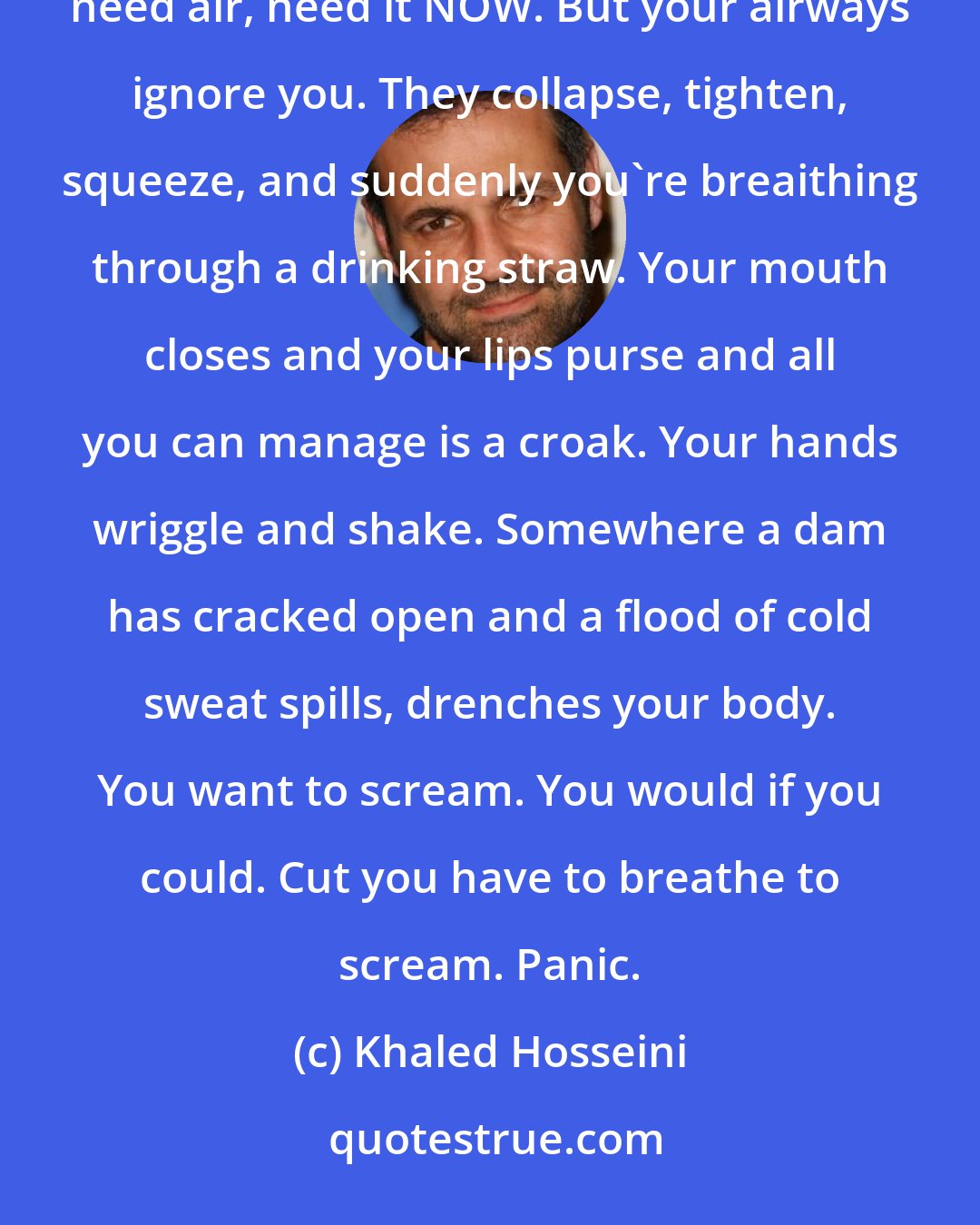 Khaled Hosseini: Panic. You open your mouth. Open it so wide your jaws creak. You order your lungs to draw air, NOW, you need air, need it NOW. But your airways ignore you. They collapse, tighten, squeeze, and suddenly you're breaithing through a drinking straw. Your mouth closes and your lips purse and all you can manage is a croak. Your hands wriggle and shake. Somewhere a dam has cracked open and a flood of cold sweat spills, drenches your body. You want to scream. You would if you could. Cut you have to breathe to scream. Panic.