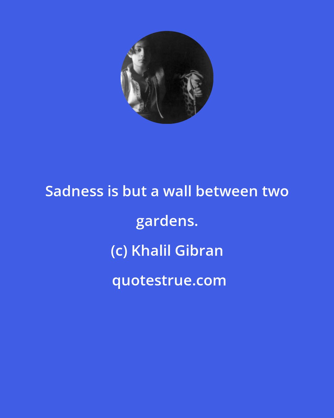 Khalil Gibran: Sadness is but a wall between two gardens.