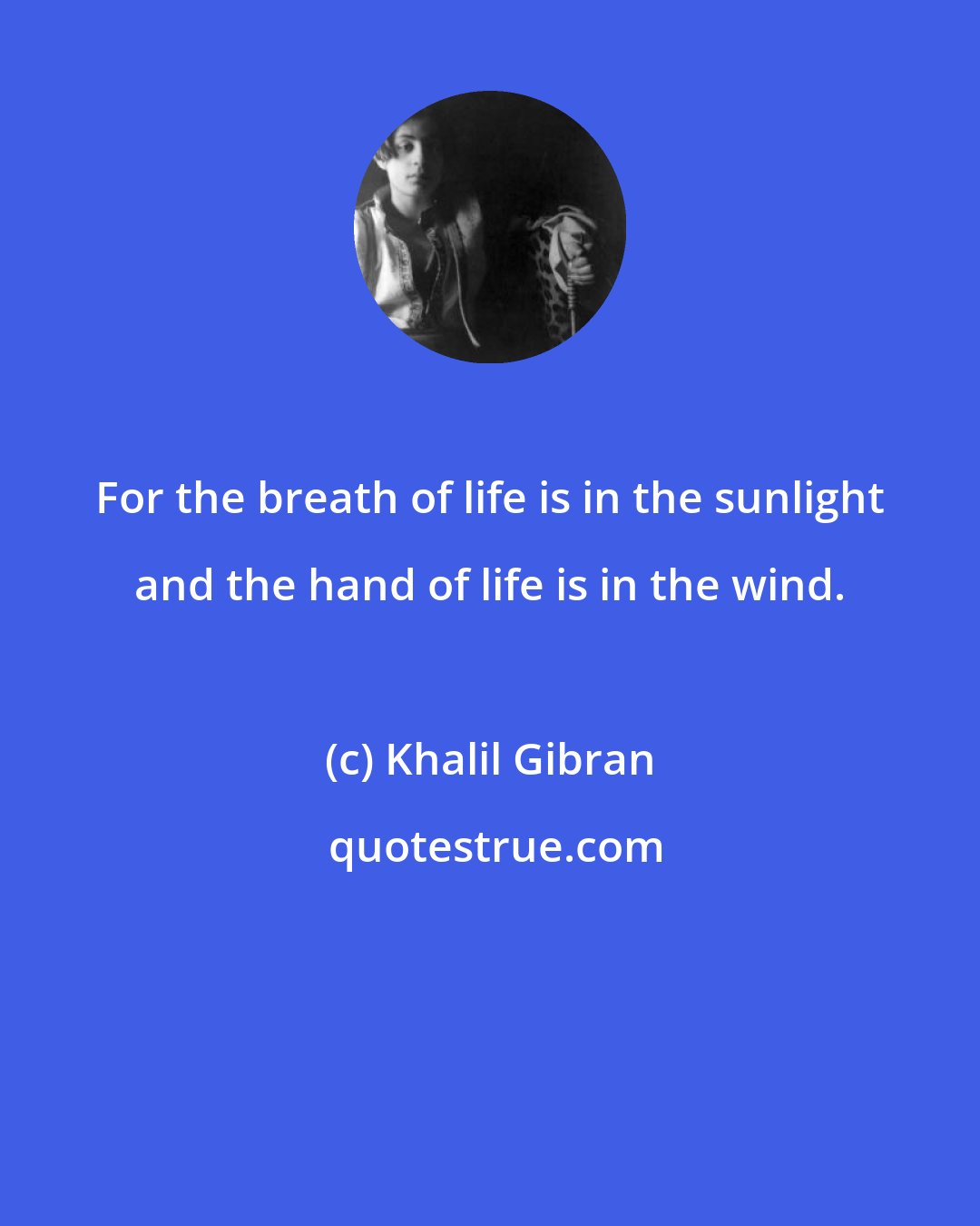 Khalil Gibran: For the breath of life is in the sunlight and the hand of life is in the wind.