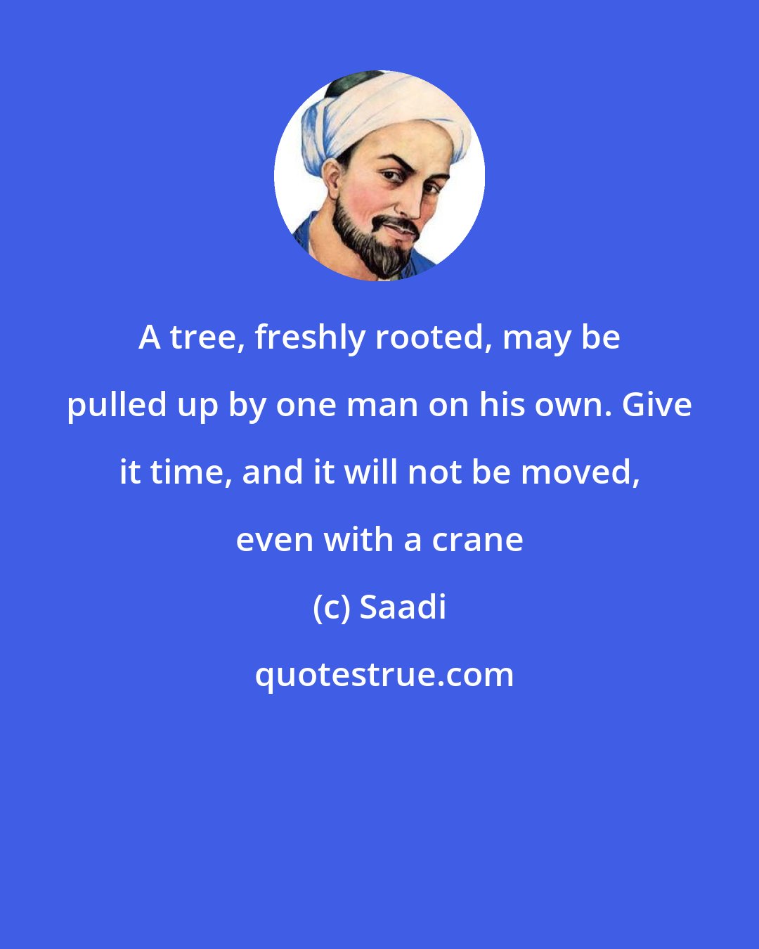 Saadi: A tree, freshly rooted, may be pulled up by one man on his own. Give it time, and it will not be moved, even with a crane