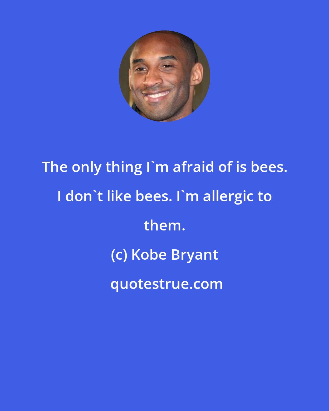 Kobe Bryant: The only thing I'm afraid of is bees. I don't like bees. I'm allergic to them.