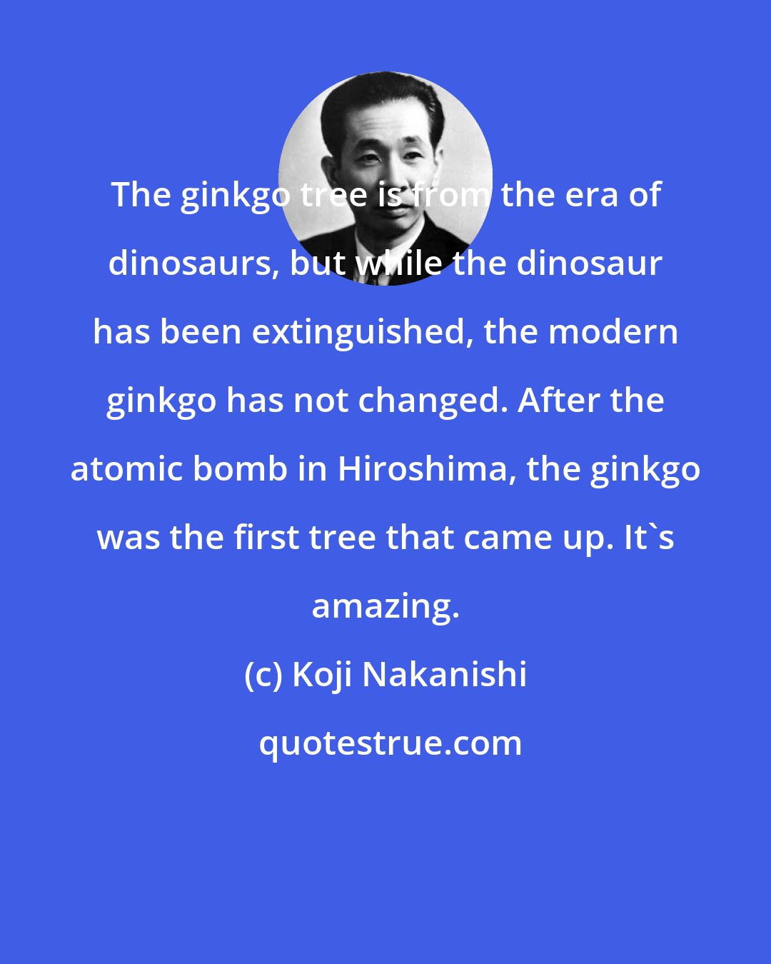 Koji Nakanishi: The ginkgo tree is from the era of dinosaurs, but while the dinosaur has been extinguished, the modern ginkgo has not changed. After the atomic bomb in Hiroshima, the ginkgo was the first tree that came up. It's amazing.