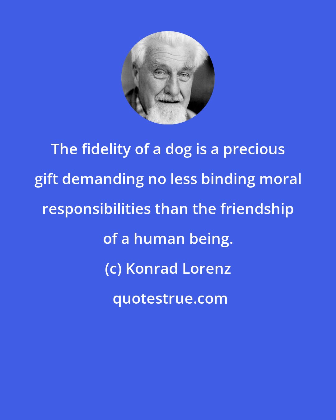 Konrad Lorenz: The fidelity of a dog is a precious gift demanding no less binding moral responsibilities than the friendship of a human being.