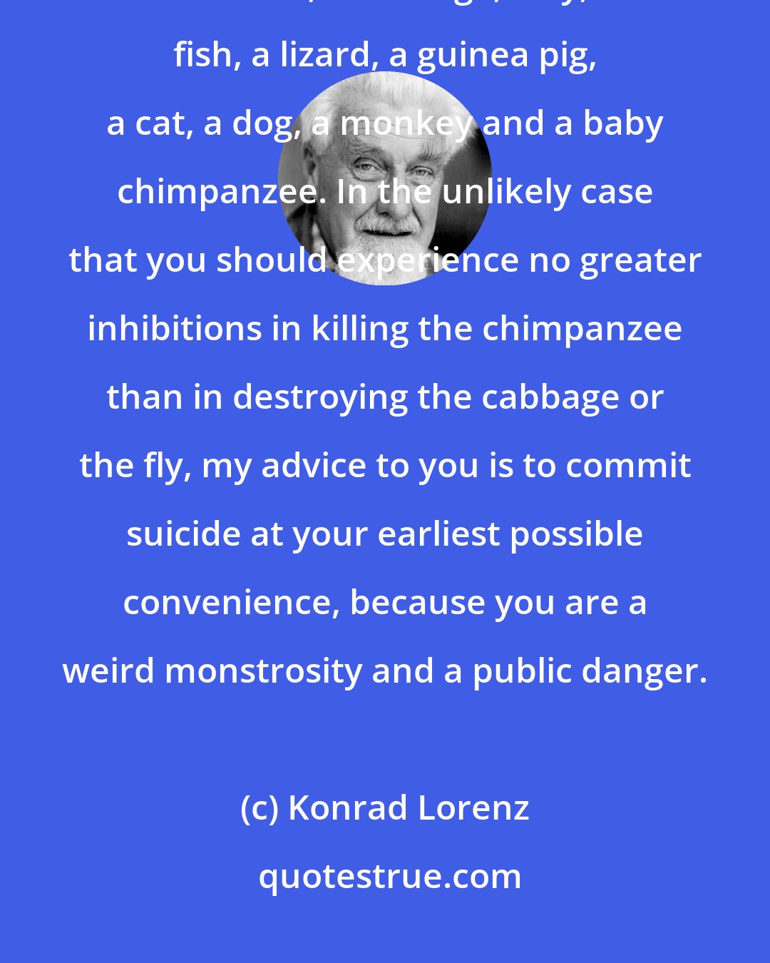 Konrad Lorenz: Visualize yourself confronted with the task of killing, one after the other, a cabbage, a fly, a fish, a lizard, a guinea pig, a cat, a dog, a monkey and a baby chimpanzee. In the unlikely case that you should experience no greater inhibitions in killing the chimpanzee than in destroying the cabbage or the fly, my advice to you is to commit suicide at your earliest possible convenience, because you are a weird monstrosity and a public danger.