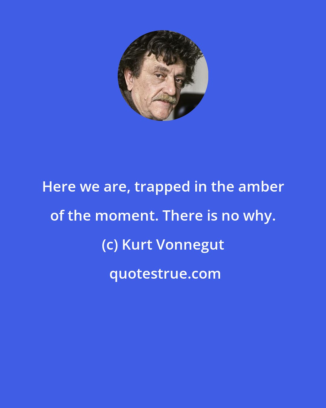 Kurt Vonnegut: Here we are, trapped in the amber of the moment. There is no why.