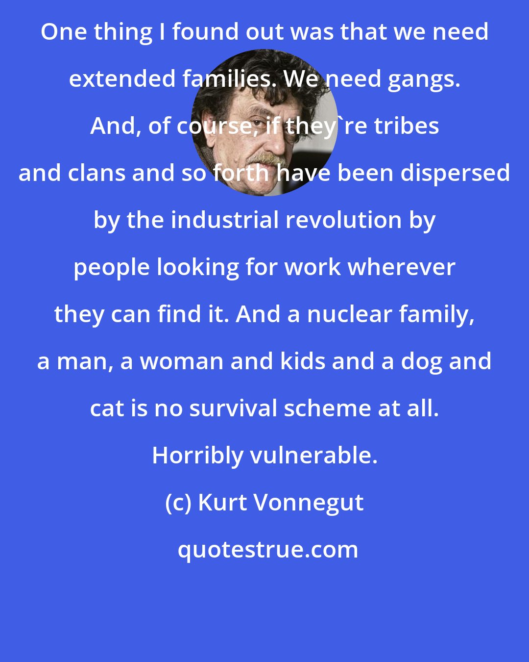 Kurt Vonnegut: One thing I found out was that we need extended families. We need gangs. And, of course, if they're tribes and clans and so forth have been dispersed by the industrial revolution by people looking for work wherever they can find it. And a nuclear family, a man, a woman and kids and a dog and cat is no survival scheme at all. Horribly vulnerable.